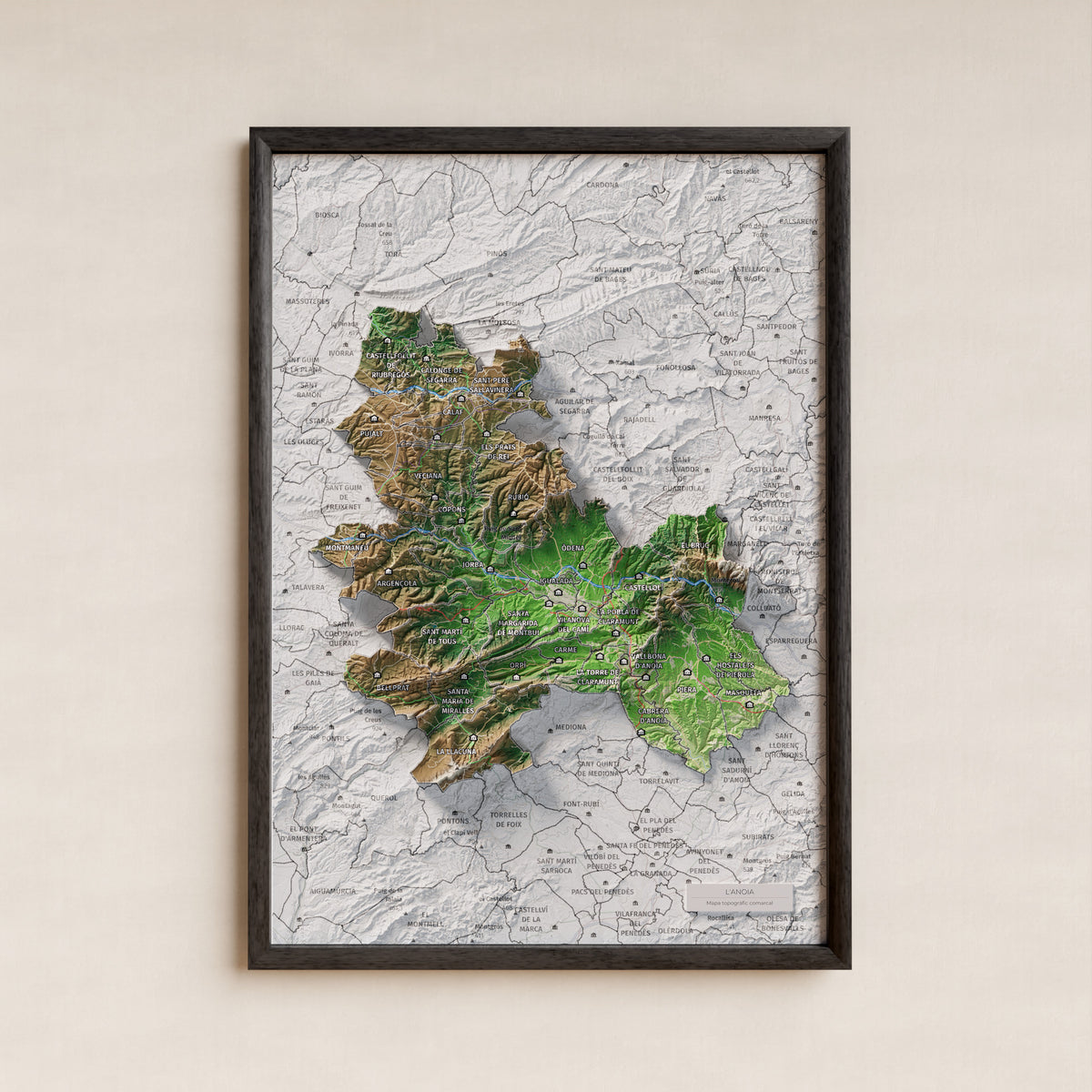 Mapa de relleu de l’Anoia, amb el territori en color i l’entorn en blanc. Presentació amb marc. 21 × 30 cm. Estil Clàssic.