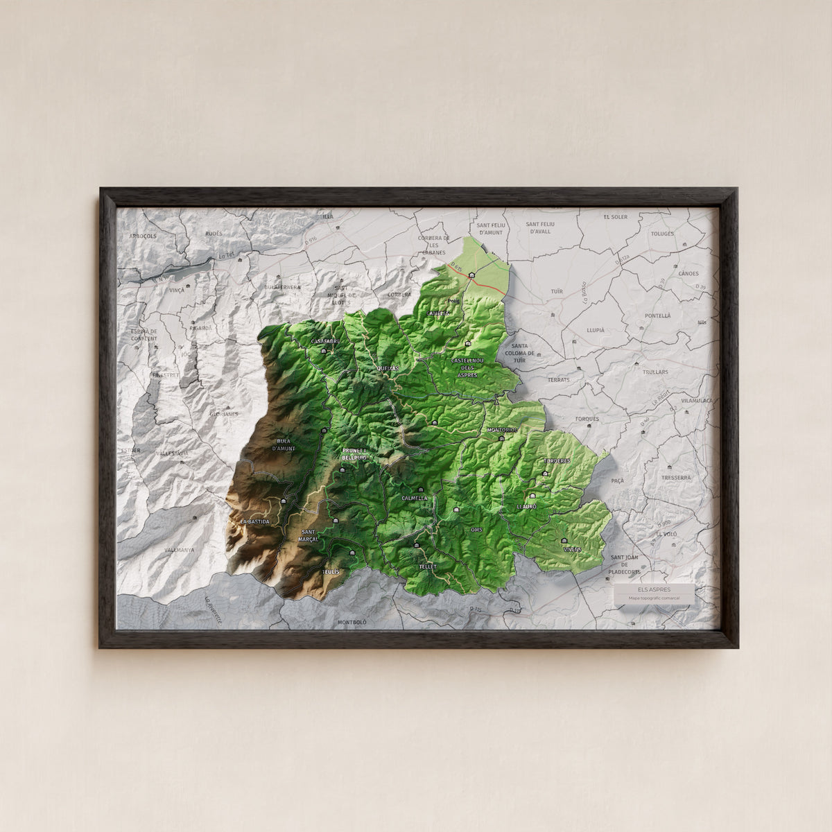 Mapa de relleu dels Aspres, amb el territori en color i l’entorn en blanc. Presentació amb marc. 21 × 30 cm. Estil Clàssic.