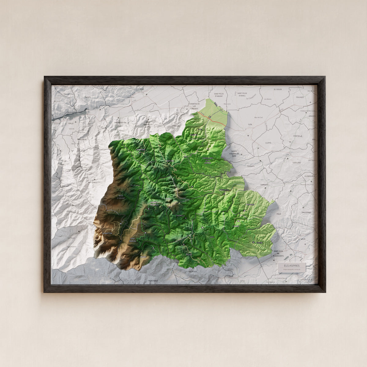 Mapa de relleu dels Aspres, amb el territori en color i l’entorn en blanc. Presentació amb marc. 30 × 40 cm. Estil Clàssic.