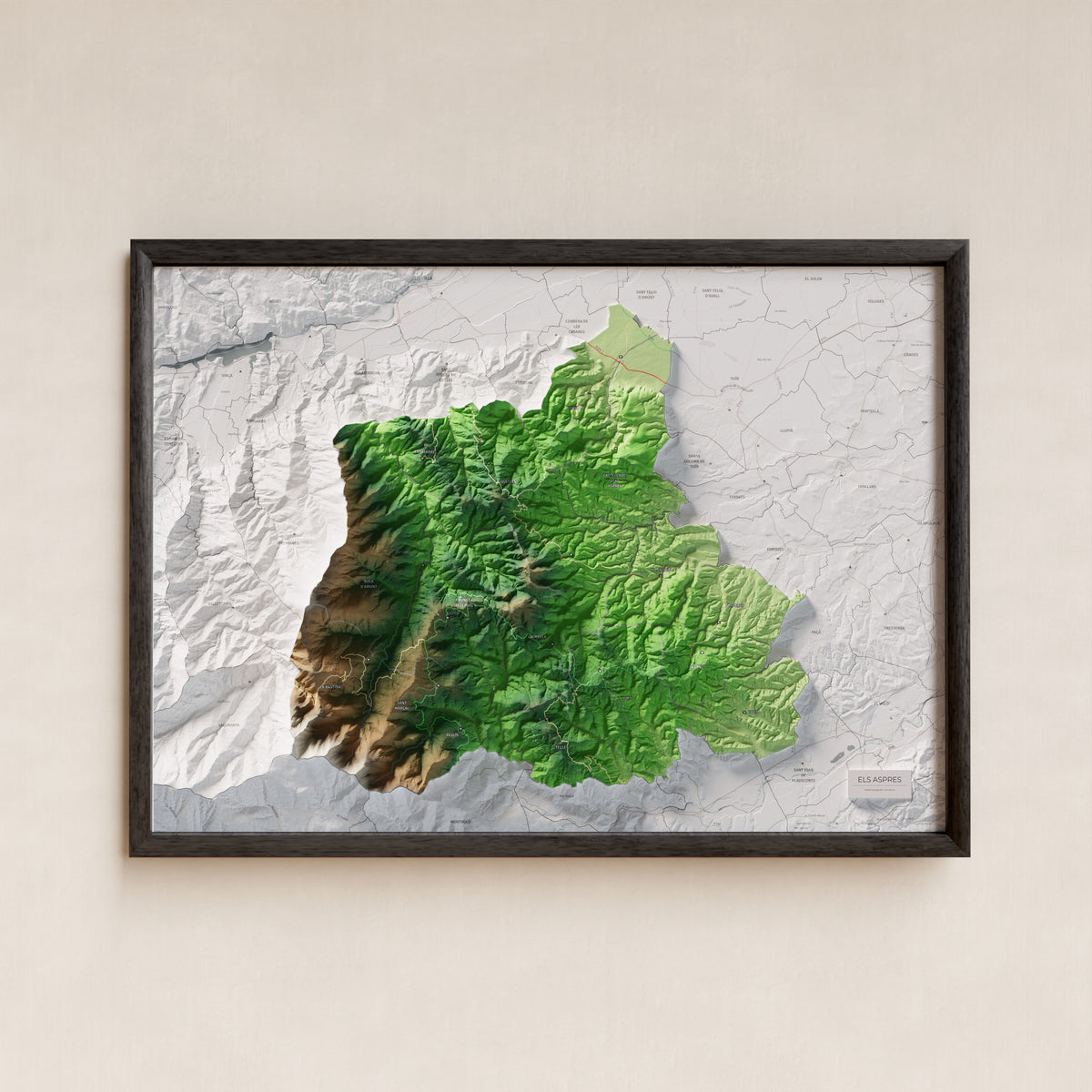 Mapa de relleu dels Aspres, amb el territori en color i l’entorn en blanc. Presentació amb marc. 50 × 70 cm. Estil Clàssic.
