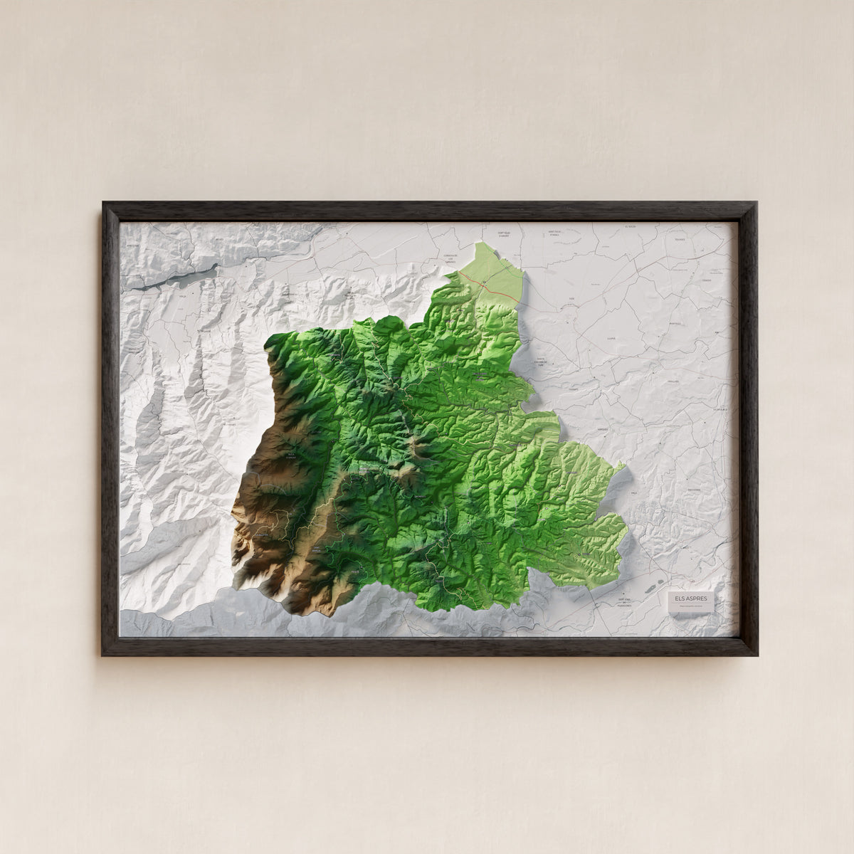 Mapa de relleu dels Aspres, amb el territori en color i l’entorn en blanc. Presentació amb marc. 61 × 91 cm. Estil Clàssic.