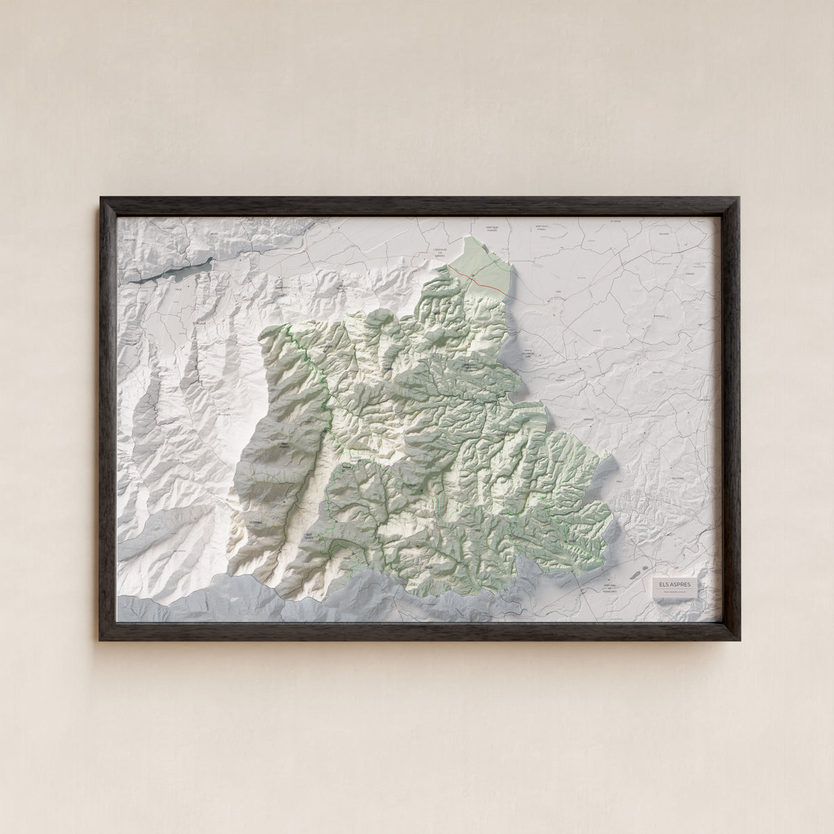 Mapa de relleu dels Aspres, amb el territori en color i l’entorn en blanc. Presentació amb marc. 61 × 91 cm. Estil Cartogràfic.