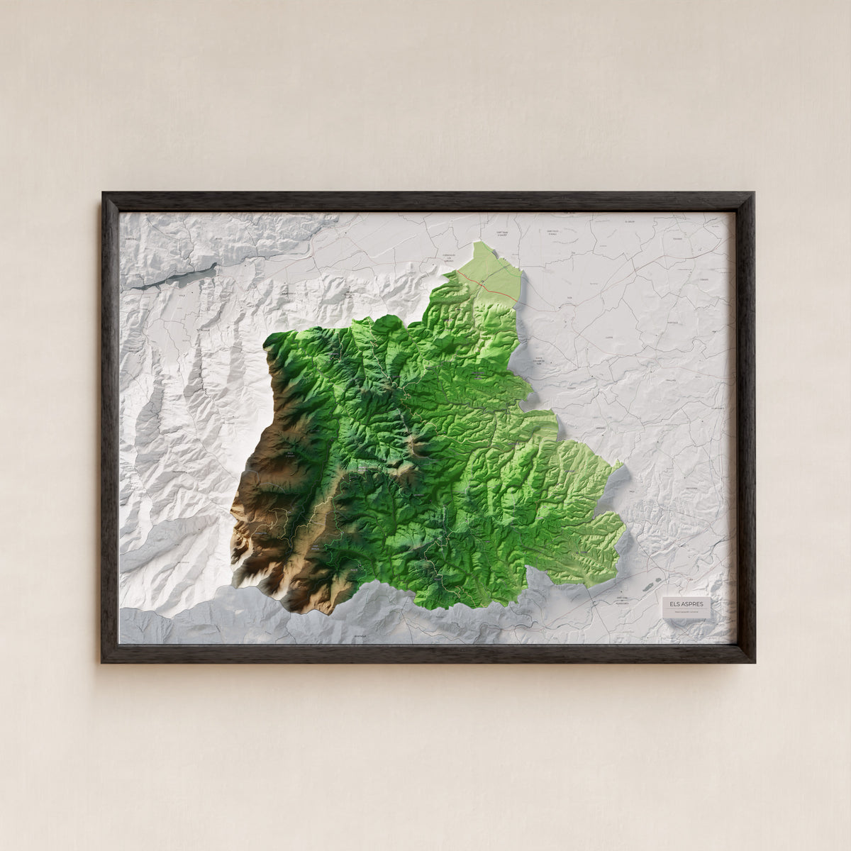 Mapa de relleu dels Aspres, amb el territori en color i l’entorn en blanc. Presentació amb marc. 70 × 100 cm. Estil Clàssic.