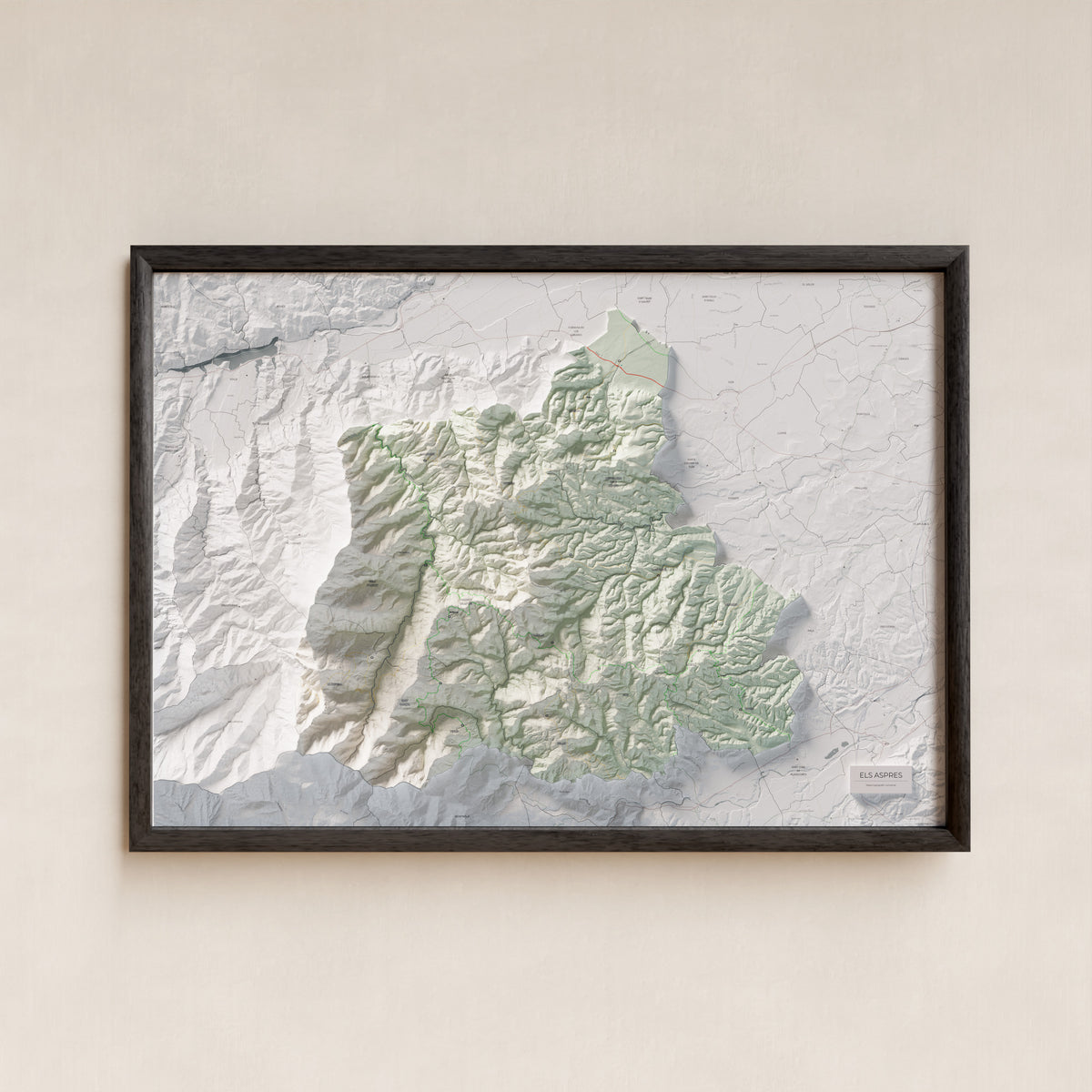 Mapa de relleu dels Aspres, amb el territori en color i l’entorn en blanc. Presentació amb marc. 70 × 100 cm. Estil Cartogràfic.