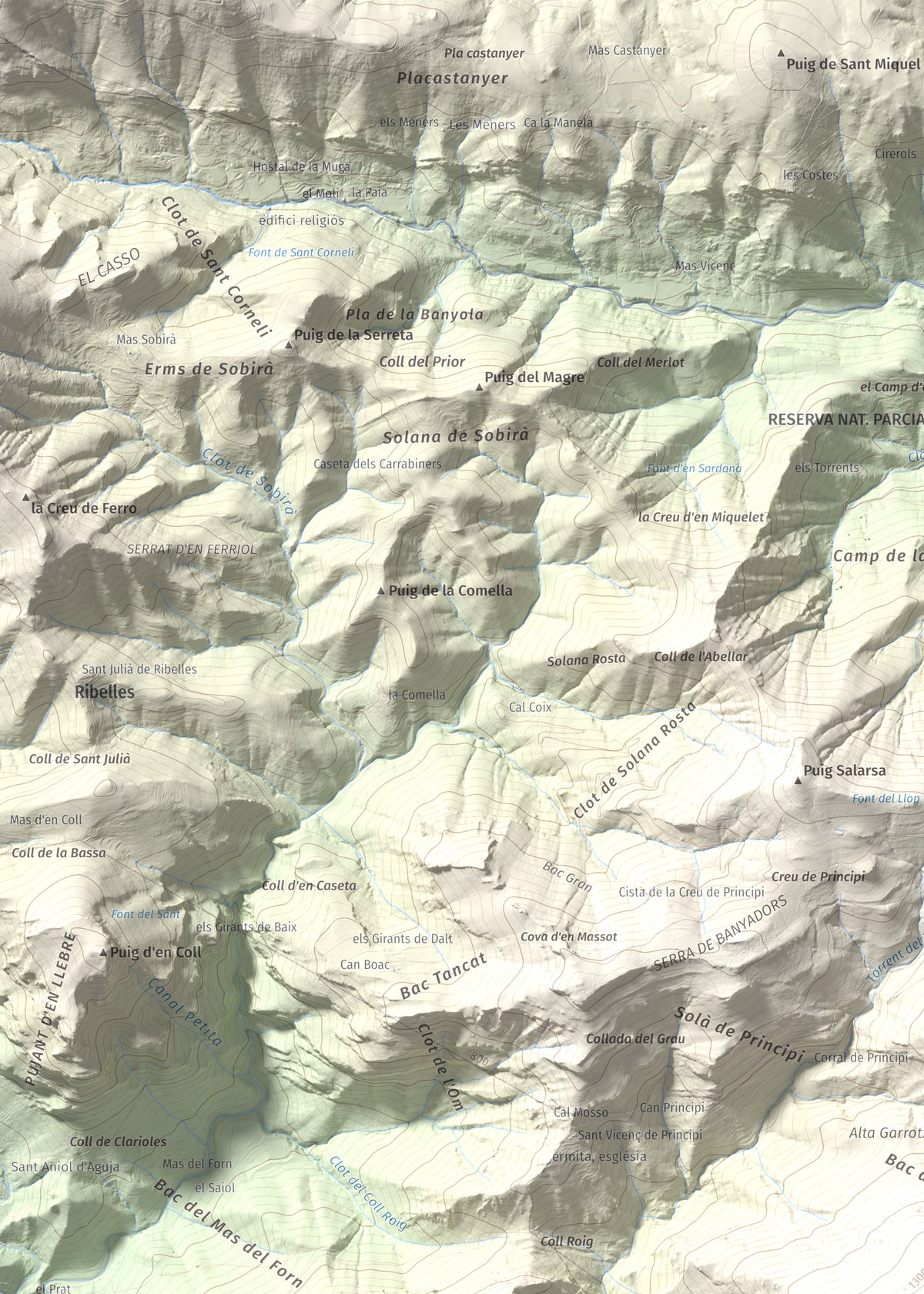 Mapa de relieve de Bassegoda, 1373 m, Alt Empordà · Garrotxa, lámina 100 Cims de Trobart. Detalle de la zona superior izquierda. 50 × 70 cm.