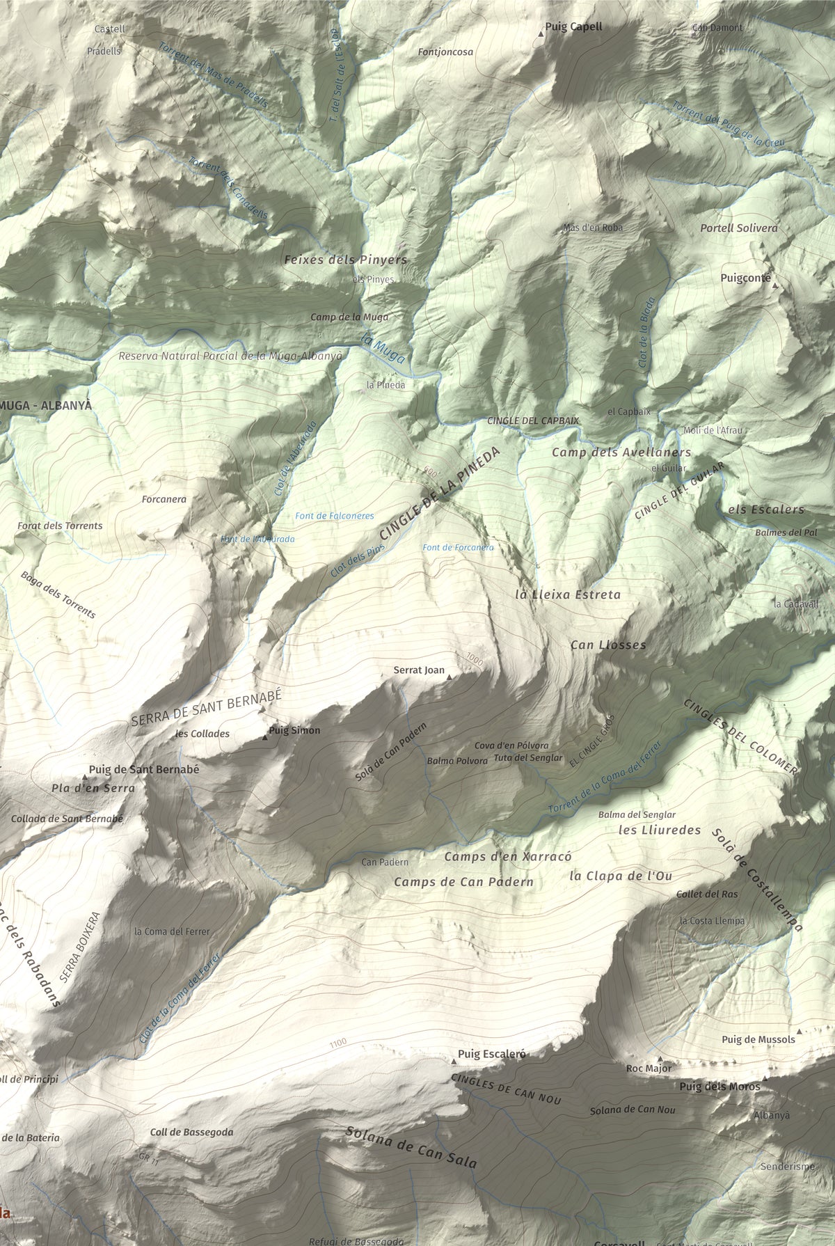 Mapa de relieve de Bassegoda, 1373 m, Alt Empordà · Garrotxa, lámina 100 Cims de Trobart. Detalle de la zona superior derecha. 61 × 91 cm.