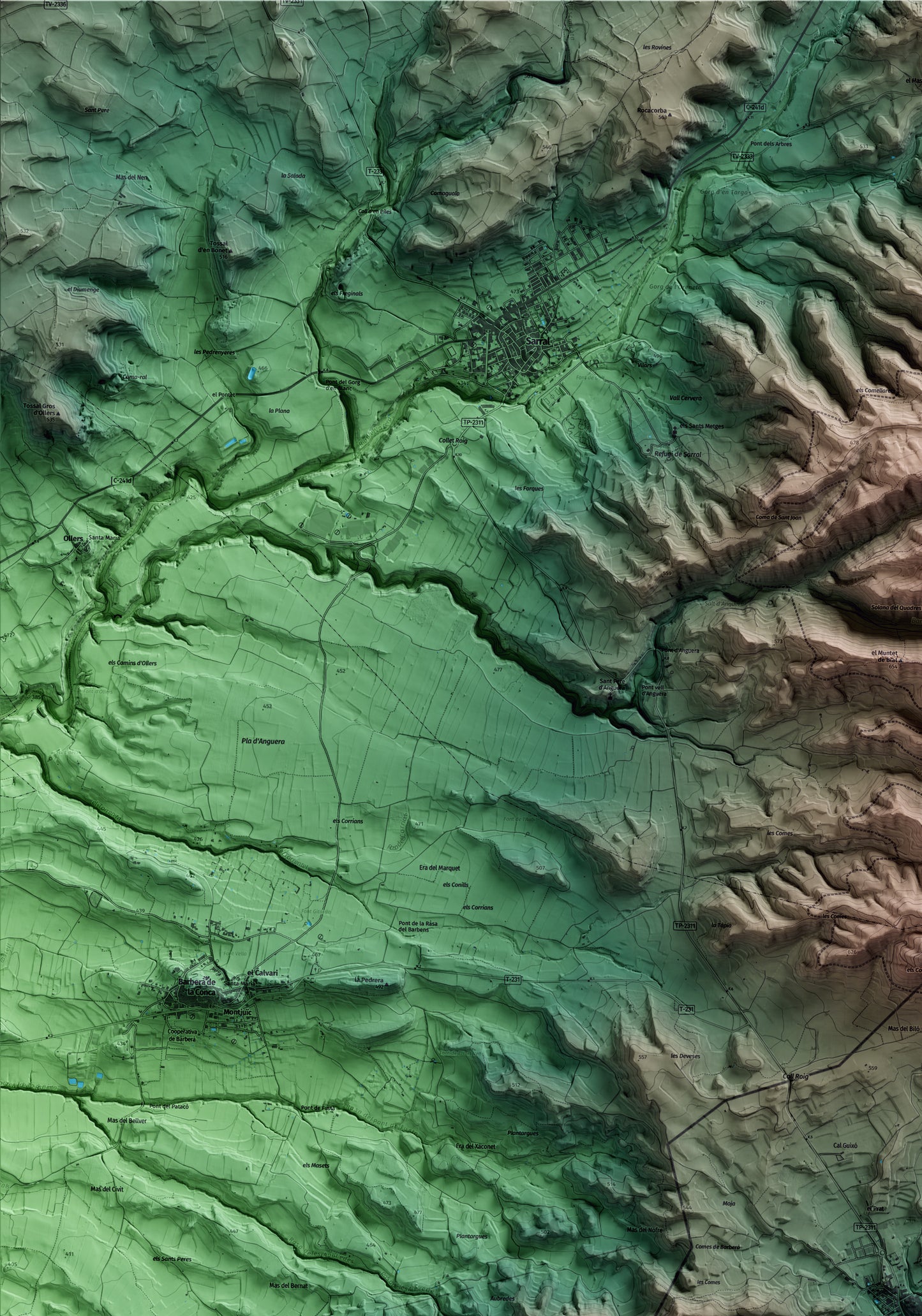 Mapa artístico del relieve de Cabra del Camp, al Alt Camp, con 15 km de entorno y base topográfica ICGC. Detalle de la zona superior izquierda.