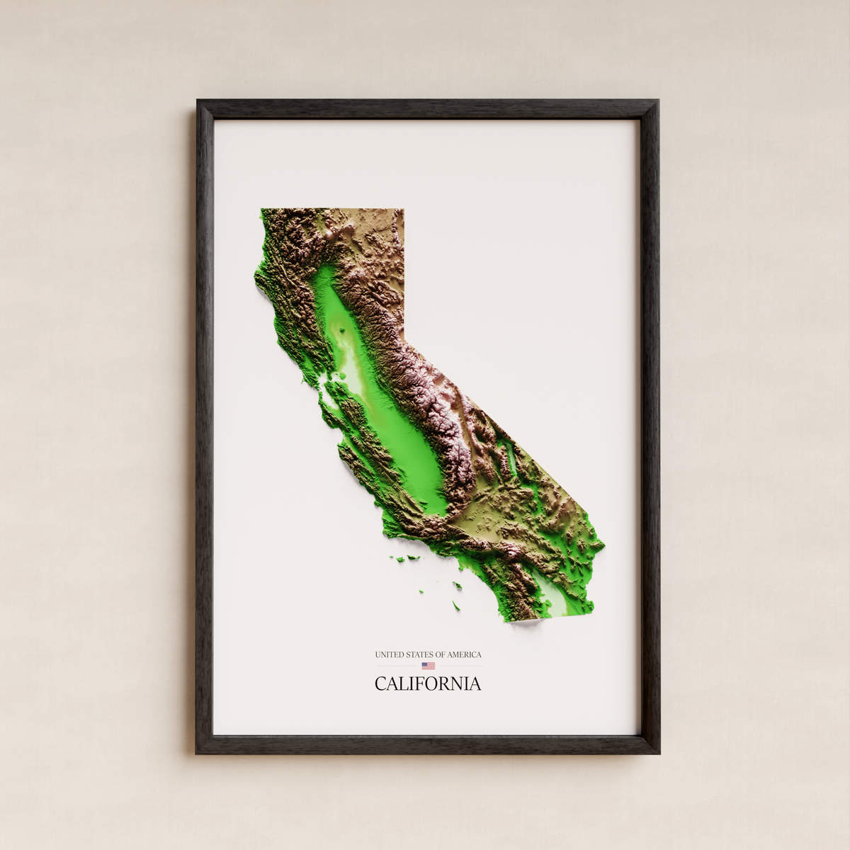 CALIFORNIA. Mapa de relleu artístic / paleta clàssica