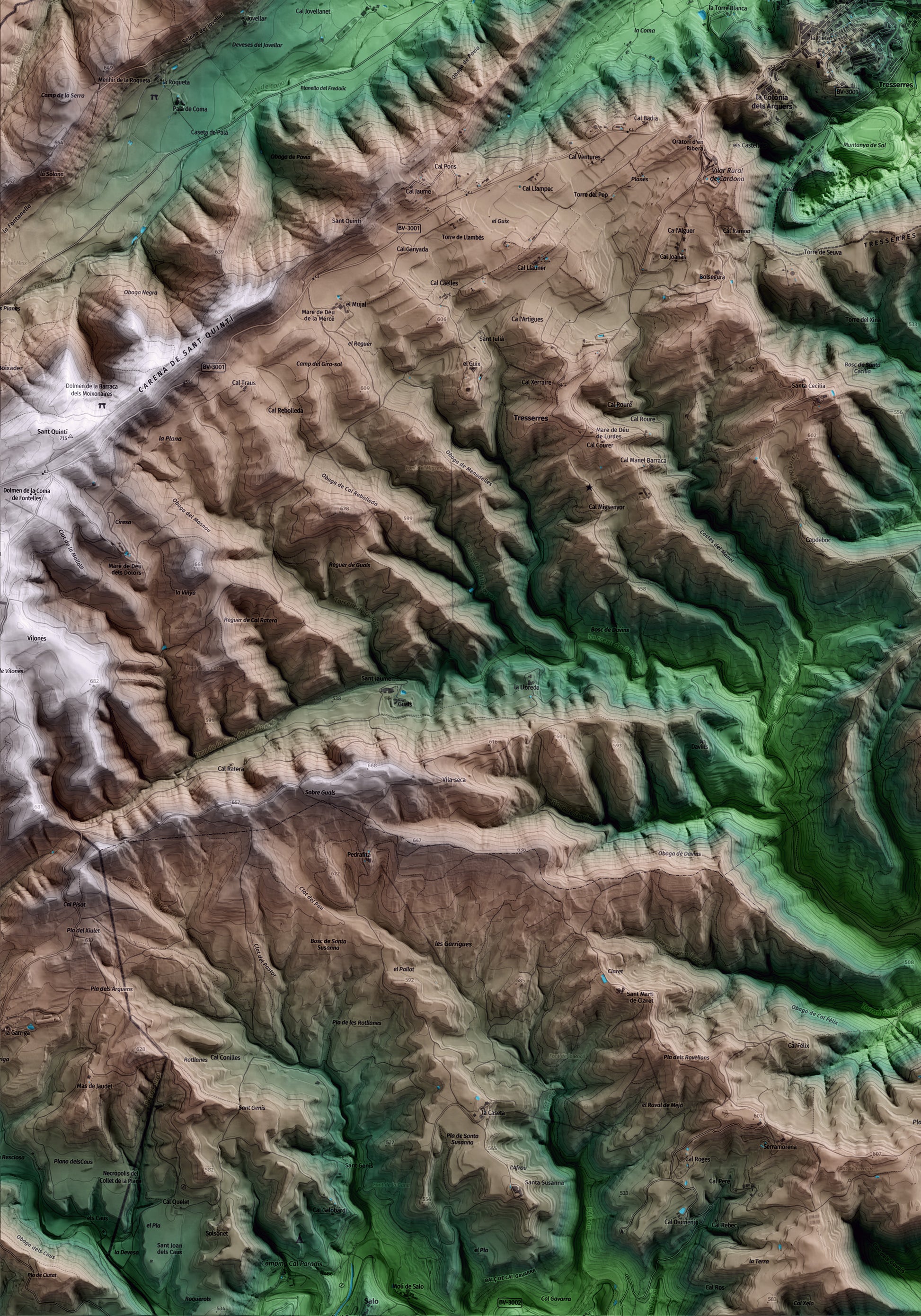 Mapa artístic del relleu de Cardona, al Bages, amb 15 km d’entorn i base topogràfica ICGC. Detall de la zona inferior esquerra.