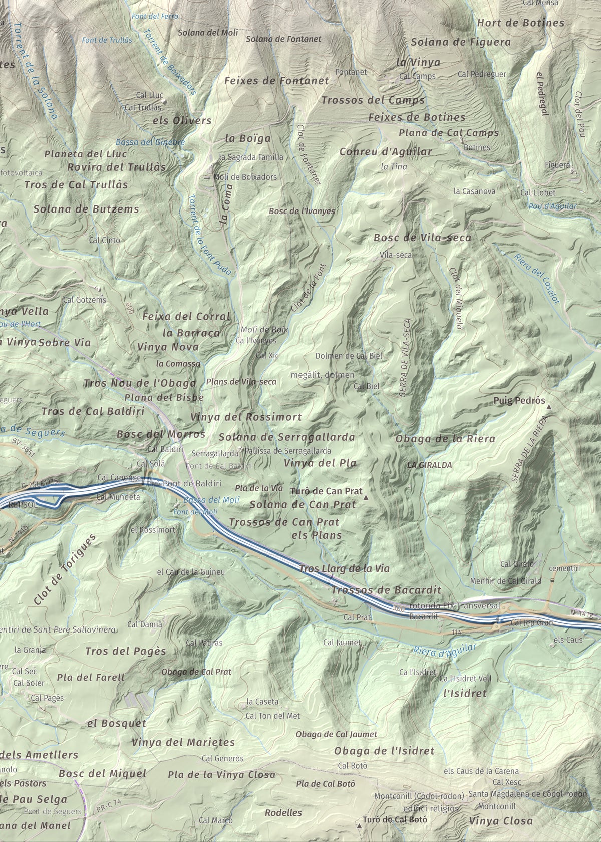 Mapa de relieve de Castell de Boixadors, 848 m, Anoia, lámina 100 Cims de Trobart. Detalle de la zona inferior derecha. 50 × 70 cm.