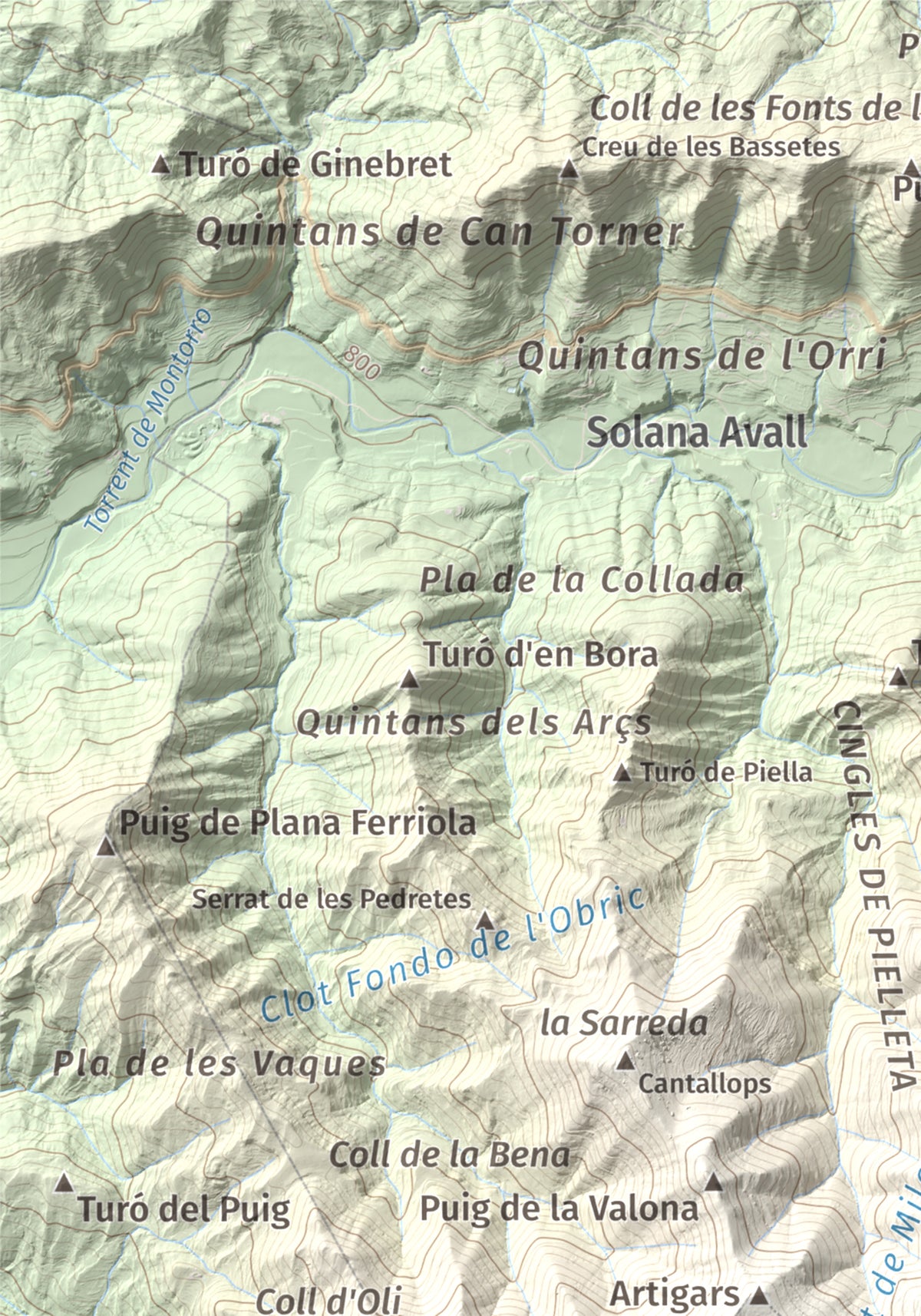 Mapa de relieve de Castell de Milany, 1529 m, Osona · Ripollès, lámina 100 Cims de Trobart. Detalle de la zona superior izquierda. 21 × 30 cm.