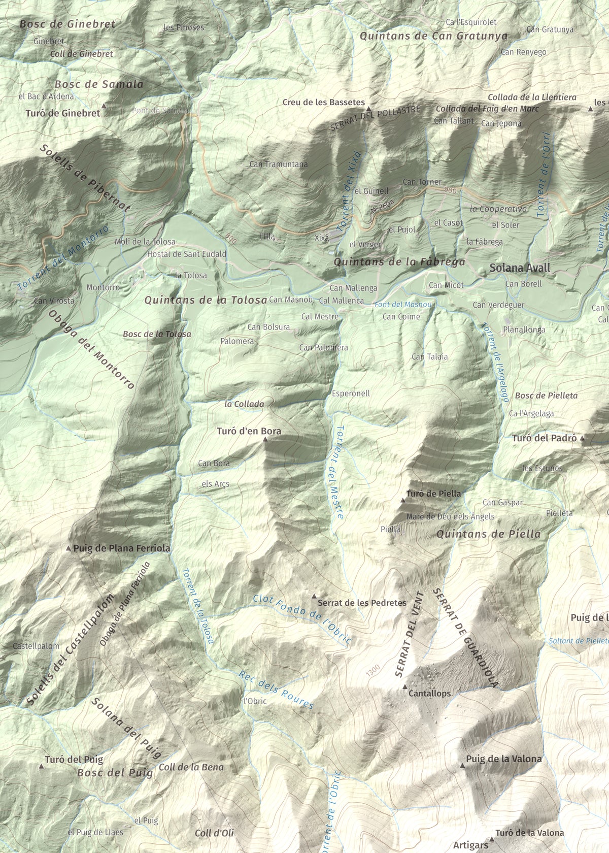 Mapa de relieve de Castell de Milany, 1529 m, Osona · Ripollès, lámina 100 Cims de Trobart. Detalle de la zona superior izquierda. 50 × 70 cm.