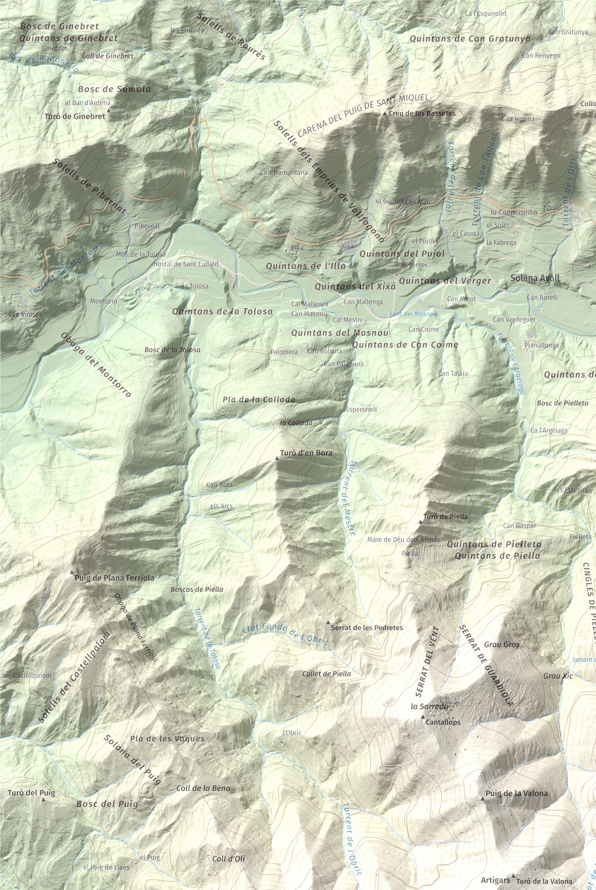 Mapa de relieve de Castell de Milany, 1529 m, Osona · Ripollès, lámina 100 Cims de Trobart. Detalle de la zona superior izquierda. 61 × 91 cm.