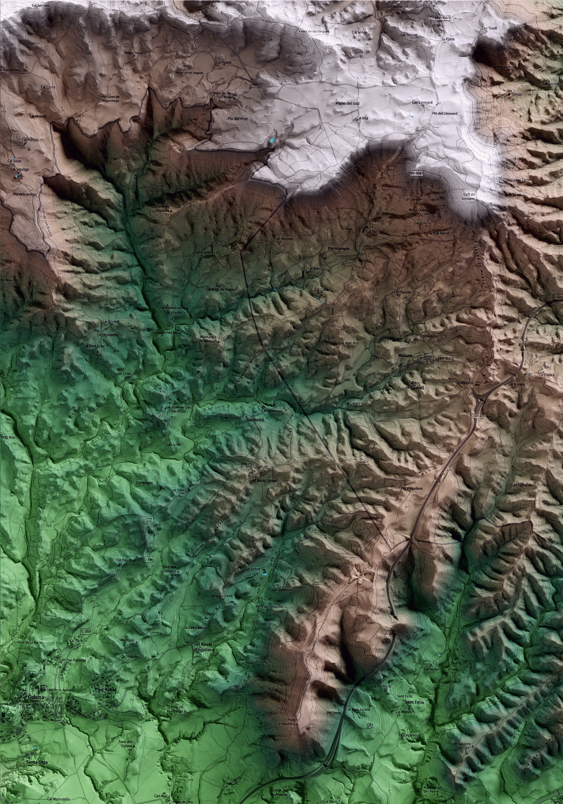 Mapa artístico del relieve de Castellolí, al Anoia, con 15 km de entorno y base topográfica ICGC. Detalle de la zona superior izquierda.