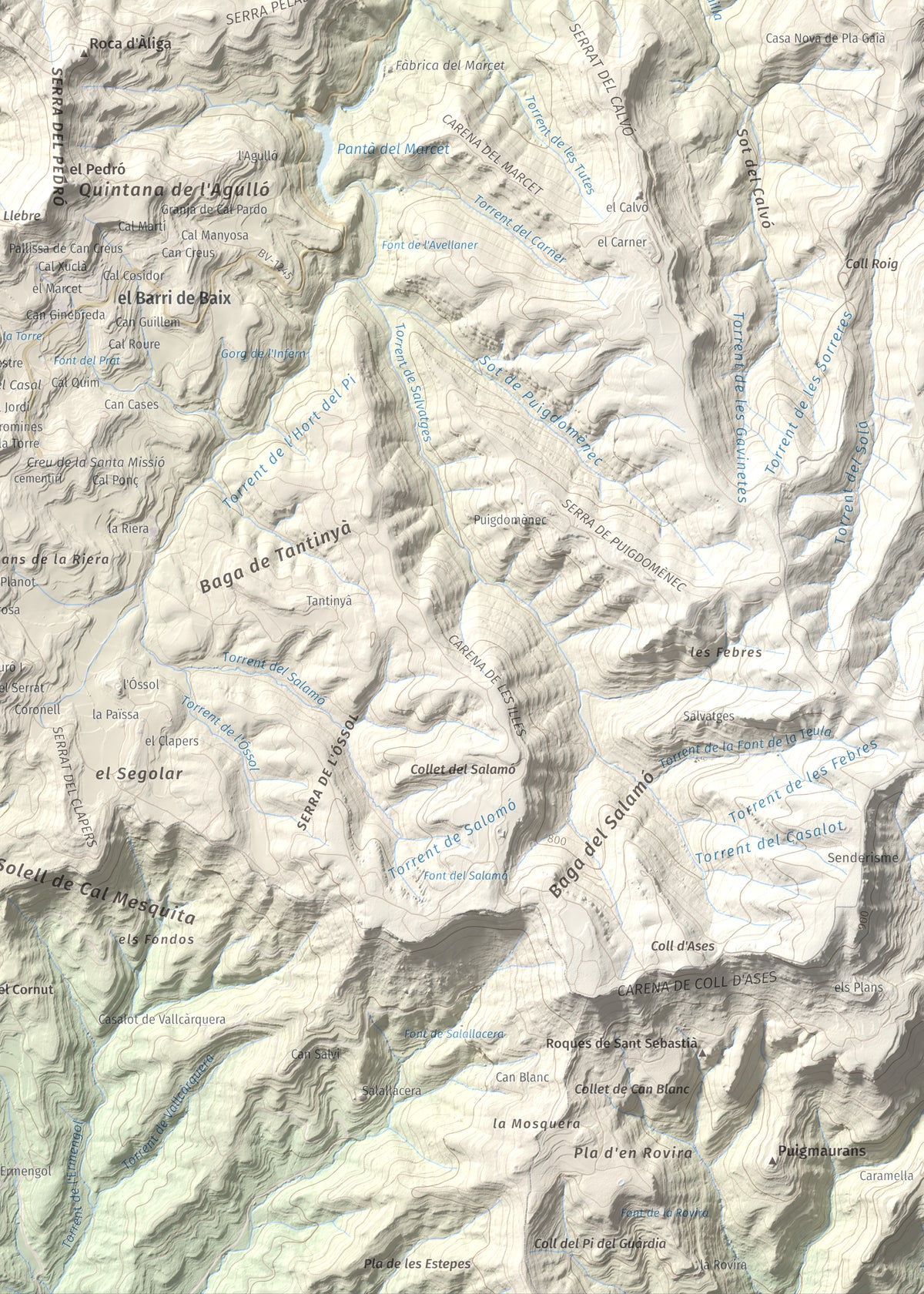 Mapa de relieve de Còdol del Castellar, 832 m, Moianès, lámina 100 Cims de Trobart. Detalle de la zona inferior derecha. 50 × 70 cm.