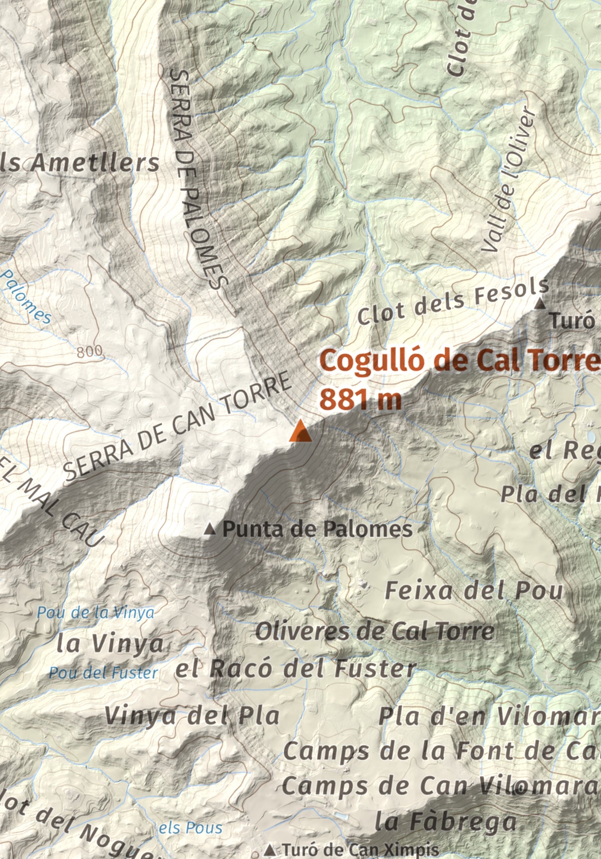 Mapa de relieve de Cogulló de Cal Torre, 881 m, Bages, lámina 100 Cims de Trobart. Detalle de la zona central. 21 × 30 cm.