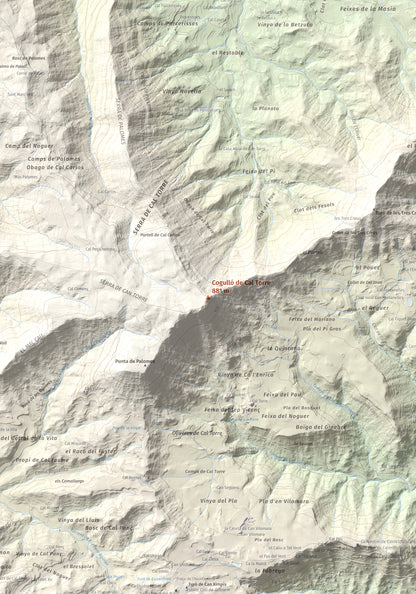 Mapa de relieve de Cogulló de Cal Torre, 881 m, Bages, lámina 100 Cims de Trobart. Detalle de la zona central. 70 × 100 cm.
