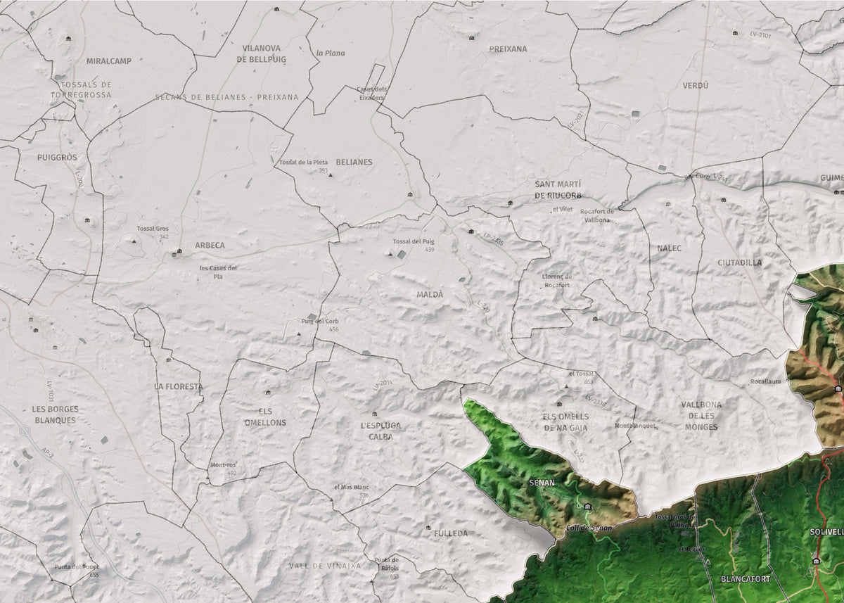 Mapa de relieve de la Conca de Barberà, con el territorio en color y el entorno en blanco. Detalle de la zona superior izquierda. 50 × 70 cm. Estilo Clásico.