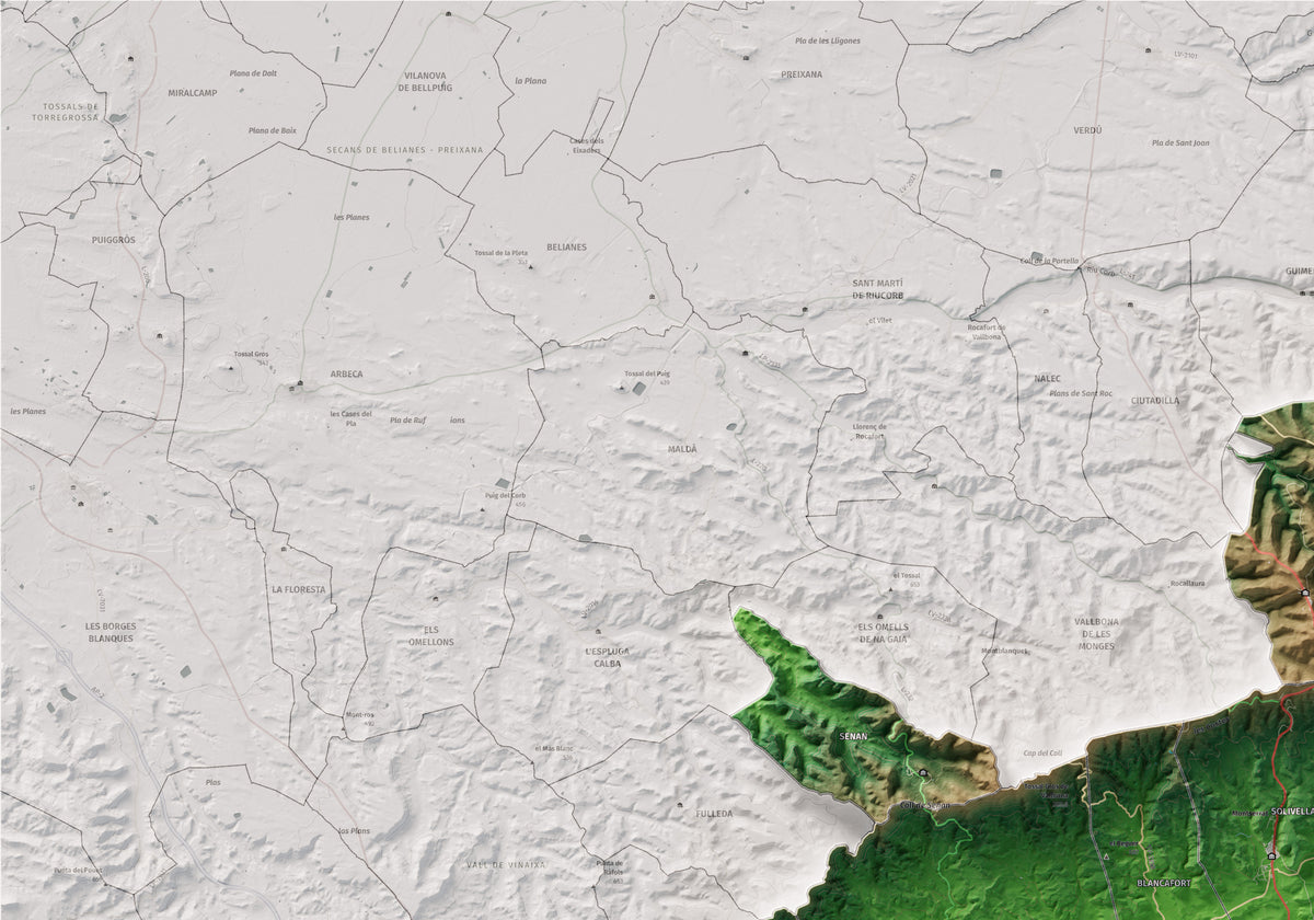 Mapa de relieve de la Conca de Barberà, con el territorio en color y el entorno en blanco. Detalle de la zona superior izquierda. 70 × 100 cm. Estilo Clásico.