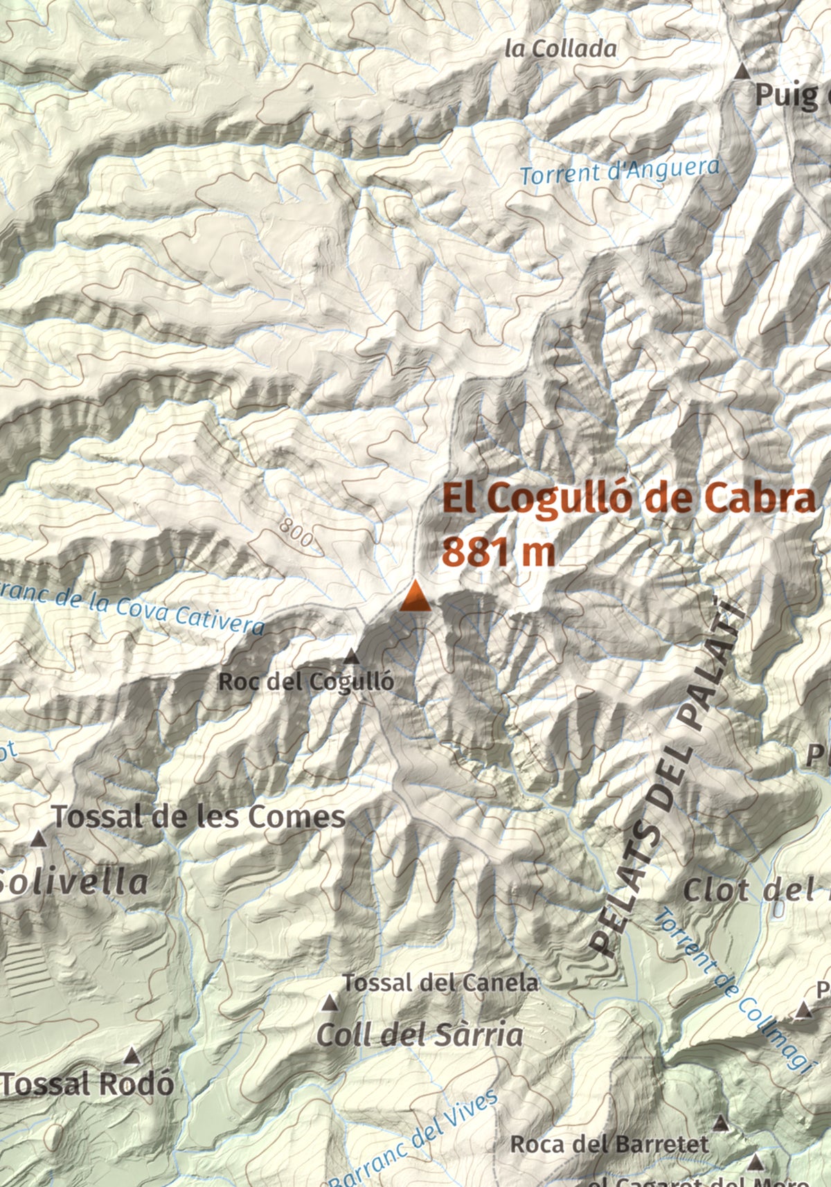 Mapa de relieve del Cogulló de Cabra, 881 m, Alt Camp, lámina 100 Cims de Trobart. Detalle de la zona central. 21 × 30 cm.