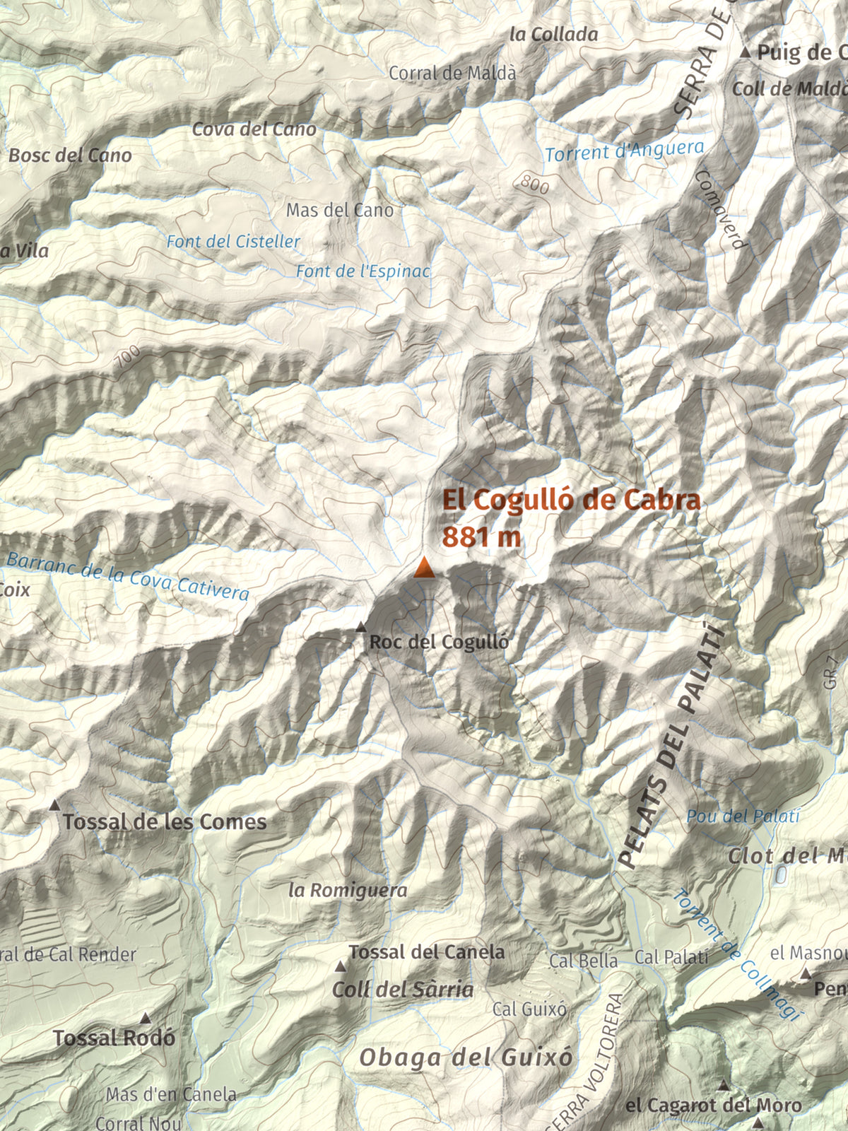 Mapa de relieve del Cogulló de Cabra, 881 m, Alt Camp, lámina 100 Cims de Trobart. Detalle de la zona central. 30 × 40 cm.