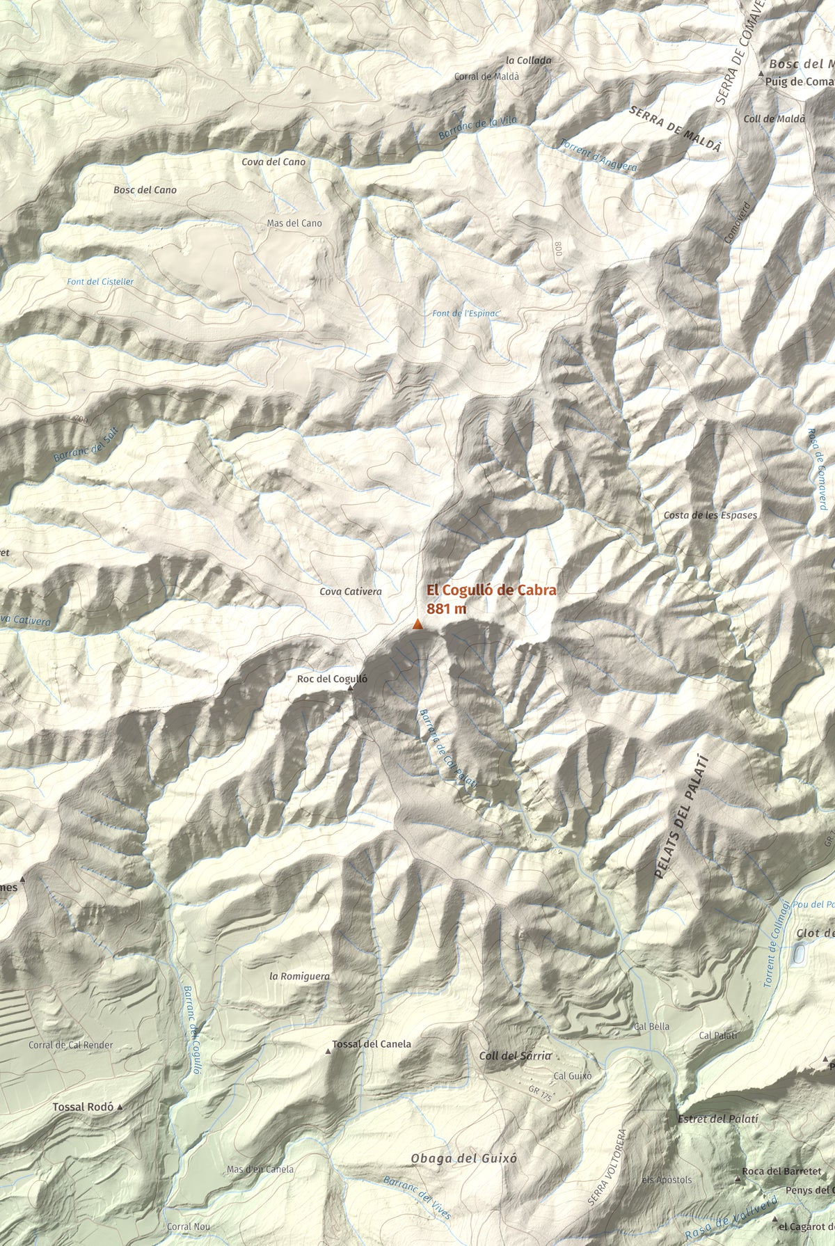 Mapa de relieve del Cogulló de Cabra, 881 m, Alt Camp, lámina 100 Cims de Trobart. Detalle de la zona central. 61 × 91 cm.