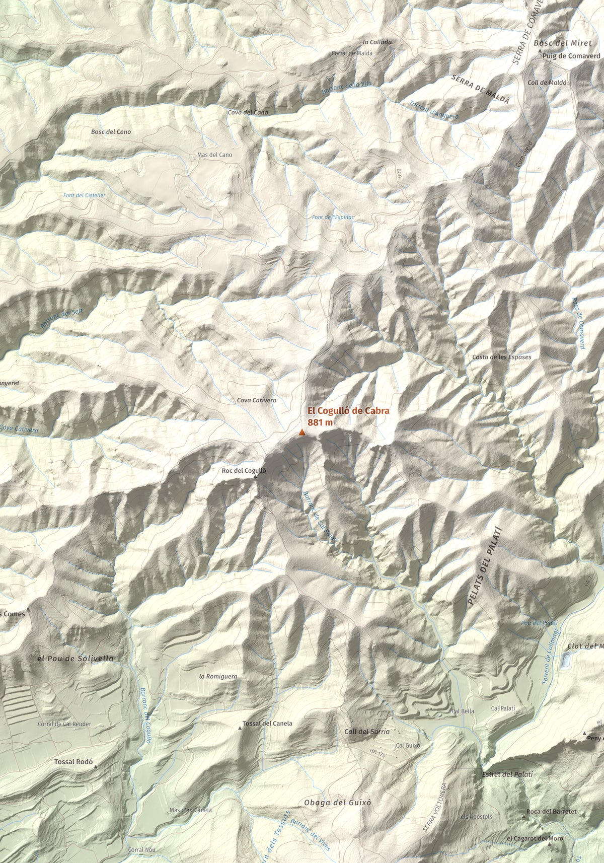 Mapa de relieve del Cogulló de Cabra, 881 m, Alt Camp, lámina 100 Cims de Trobart. Detalle de la zona central. 70 × 100 cm.