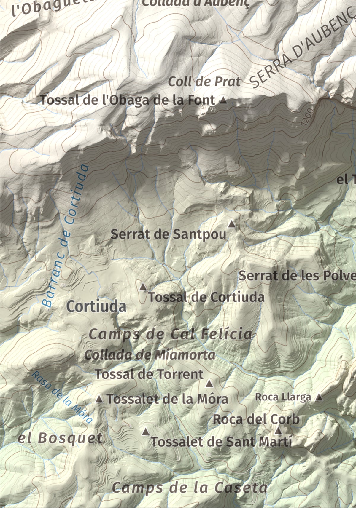 Mapa de relieve del Coscollet, 1610 m, Alt Urgell, lámina 100 Cims de Trobart. Detalle de la zona inferior izquierda. 21 × 30 cm.