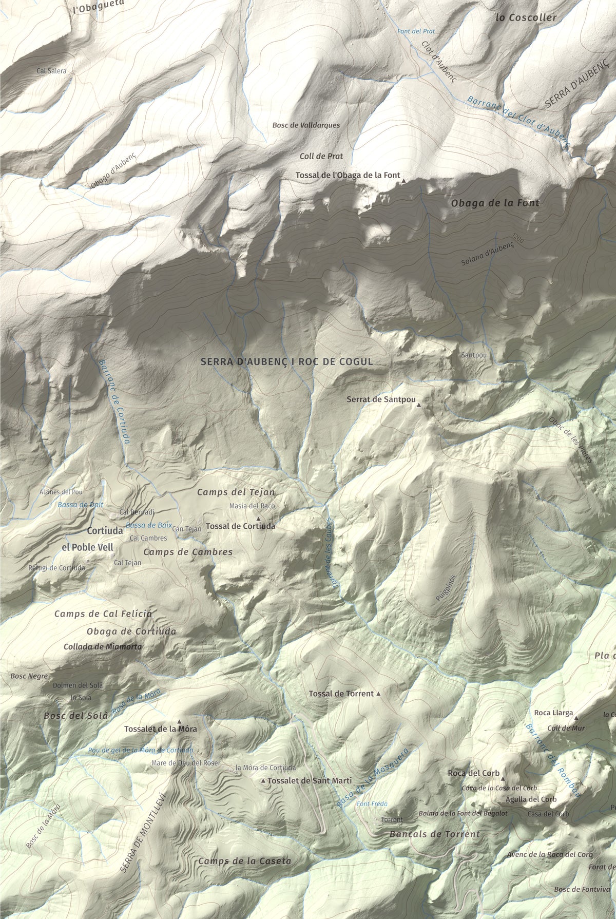 Mapa de relieve del Coscollet, 1610 m, Alt Urgell, lámina 100 Cims de Trobart. Detalle de la zona inferior izquierda. 61 × 91 cm.