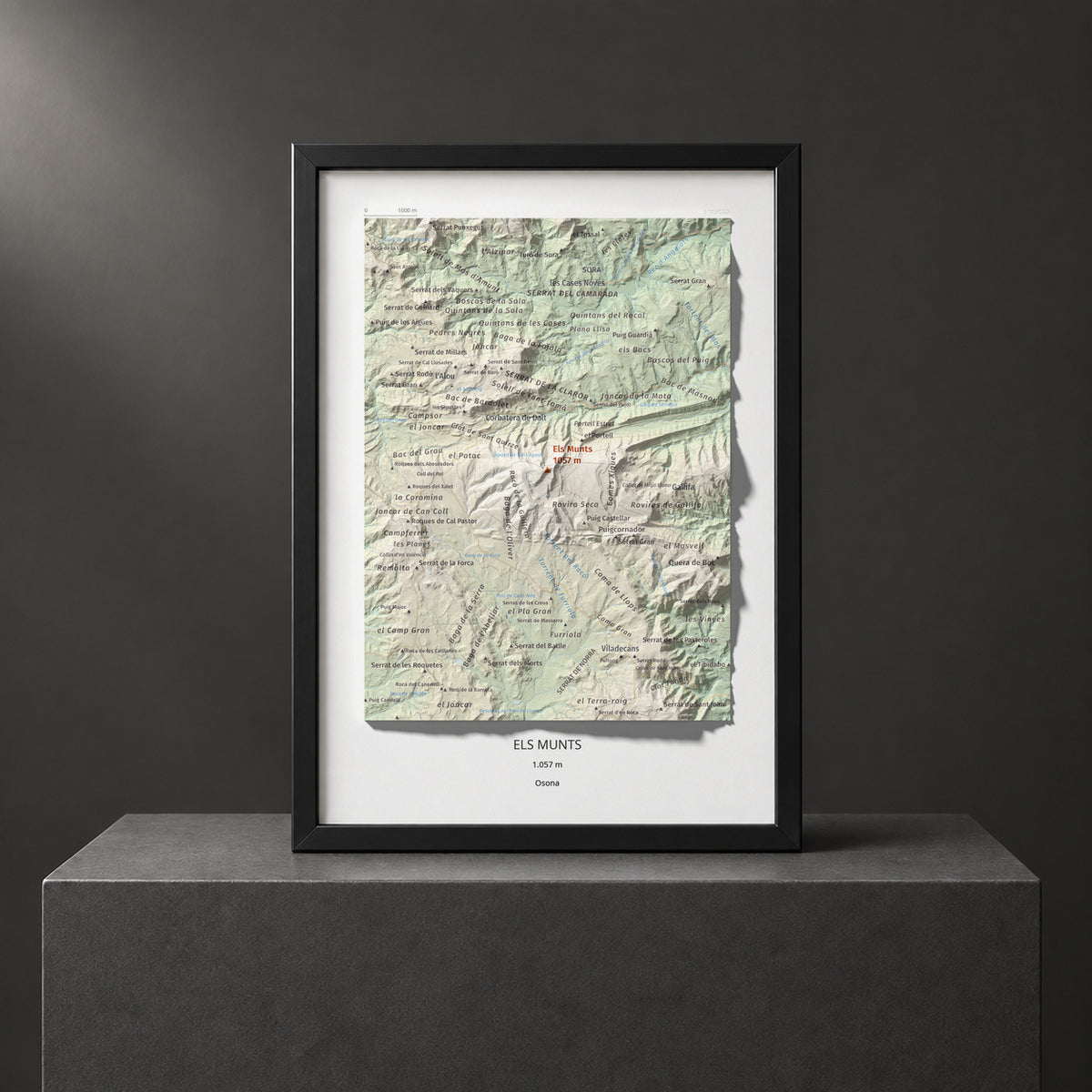 ELS MUNTS - 318/522 - Colección artística 100 cims