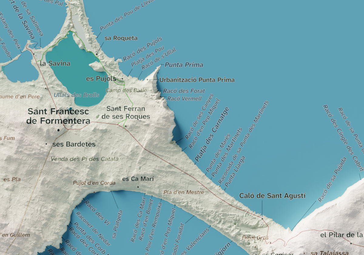 Edició octubre 2026 · Mapa topogràfic de Formentera, Cartogràfic, 21 × 30 cm: detall central.