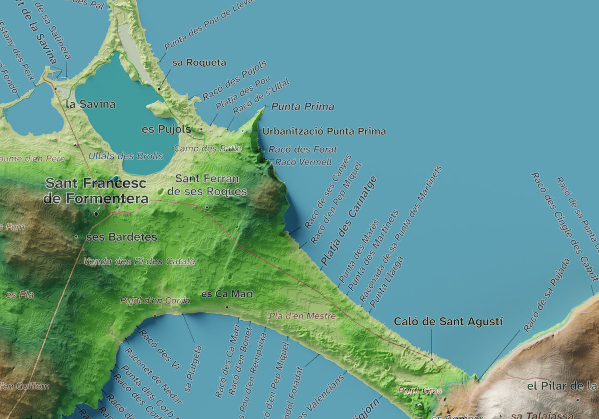 Edició octubre 2026 · Mapa topogràfic de Formentera, Clàssic, 21 × 30 cm: detall central.