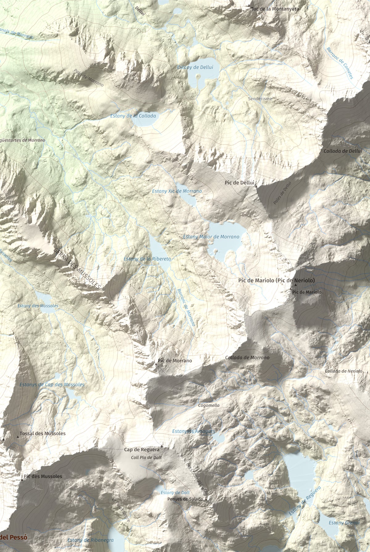 Mapa de relieve de Gran Pic del Pessó, 2894 m, Alta Ribagorça · Pallars Jussà, lámina 100 Cims de Trobart. Detalle de la zona superior derecha. 61 × 91 cm.