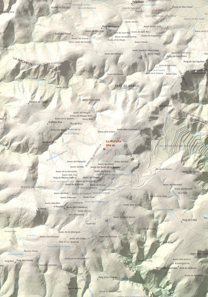 Mapa topogràfic del relleu: La Morella, 594 m. Detall de la zona central. 70 × 100 cm.