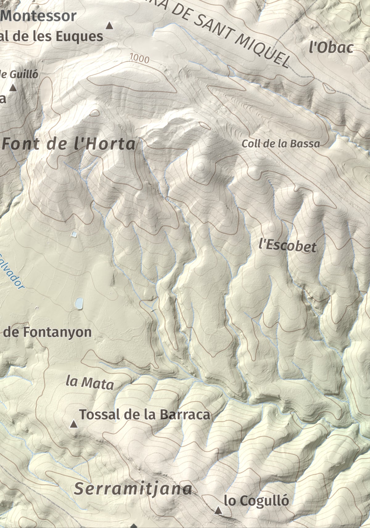 Mapa de relieve de Los Picons, 951 m, Noguera, lámina 100 Cims de Trobart. Detalle de la zona inferior derecha. 21 × 30 cm.