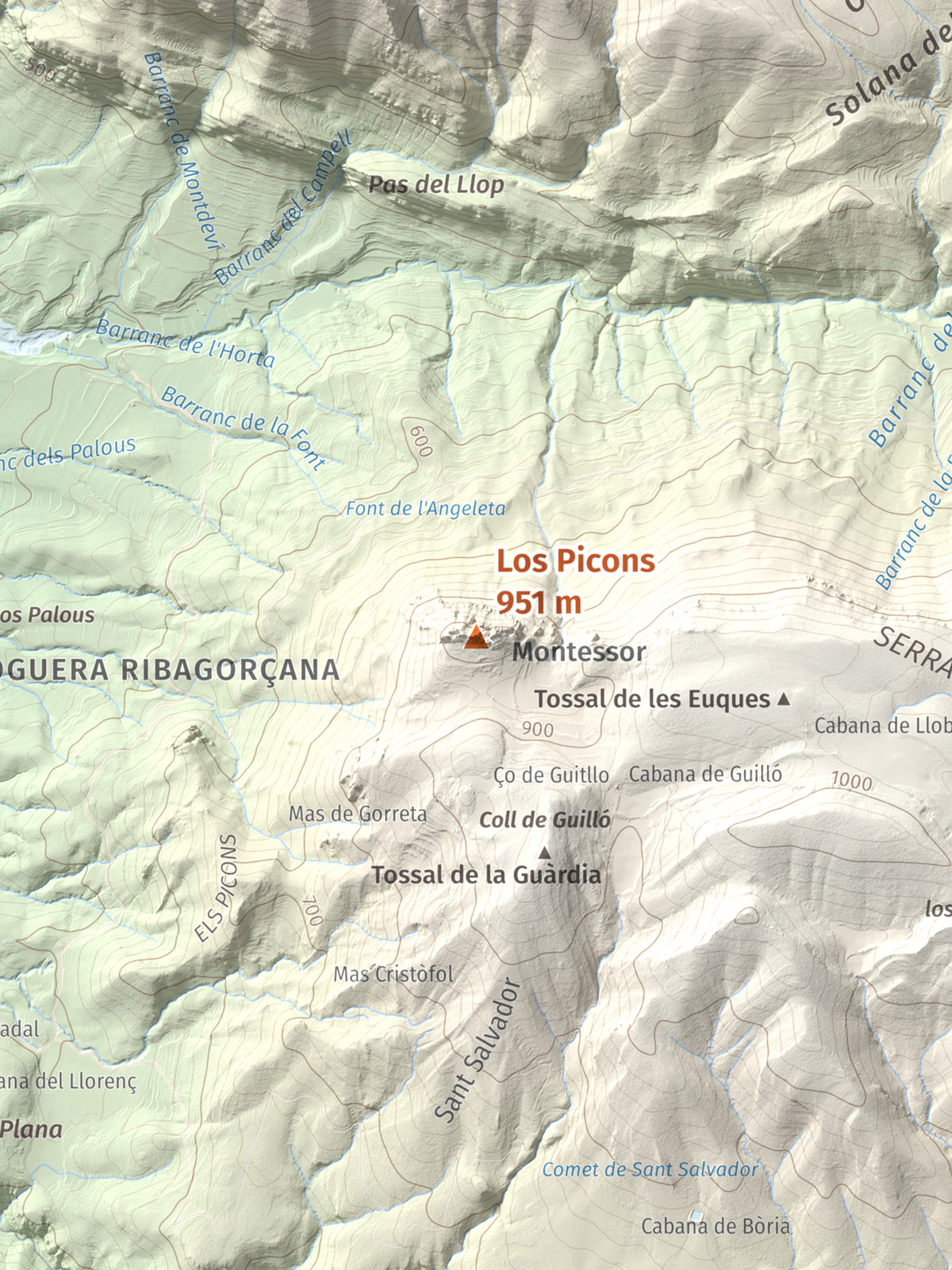 Mapa de relieve de Los Picons, 951 m, Noguera, lámina 100 Cims de Trobart. Detalle de la zona central. 30 × 40 cm.