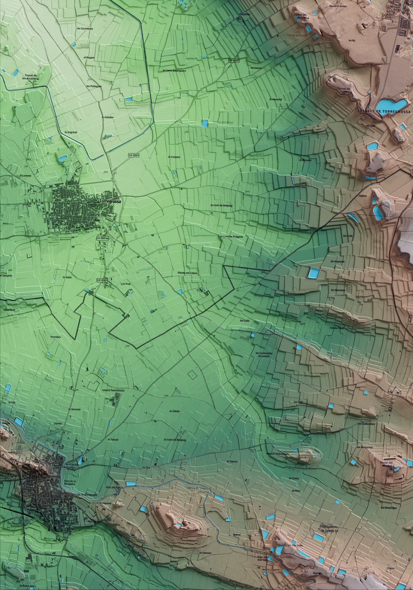 Mapa artístico del relieve de Miralcamp, en el Pla d'Urgell, con 15 km de entorno y base topográfica ICGC. Detalle de la zona inferior izquierda.