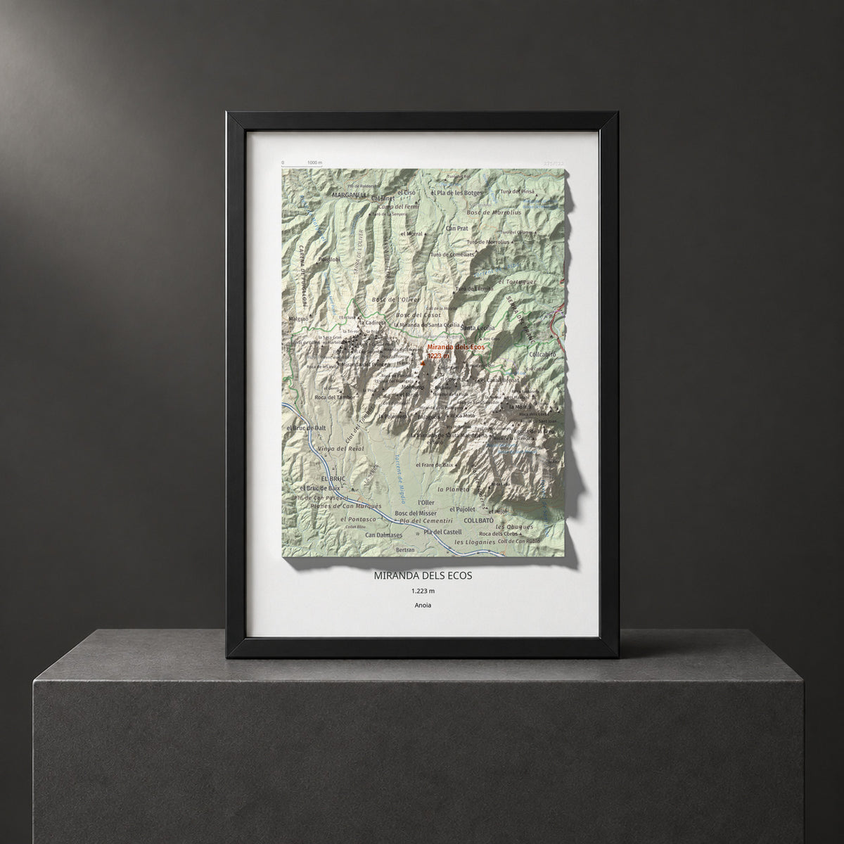 MIRANDA DELS ECOS - 279/522 - Colección artística 100 cims