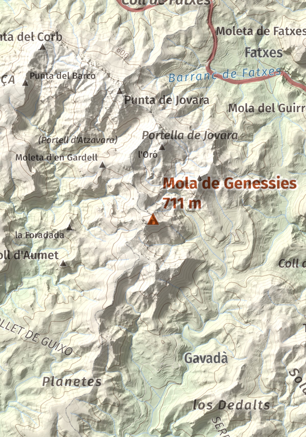 Mapa topogràfic del relleu: Mola de Genessies, 711 m. Detall de la zona central. 21 × 30 cm.