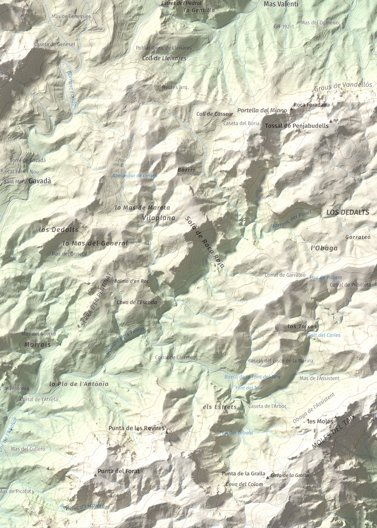 Mapa topogràfic del relleu: Mola de Genessies, 711 m. Detall de la zona inferior dreta. 50 × 70 cm.