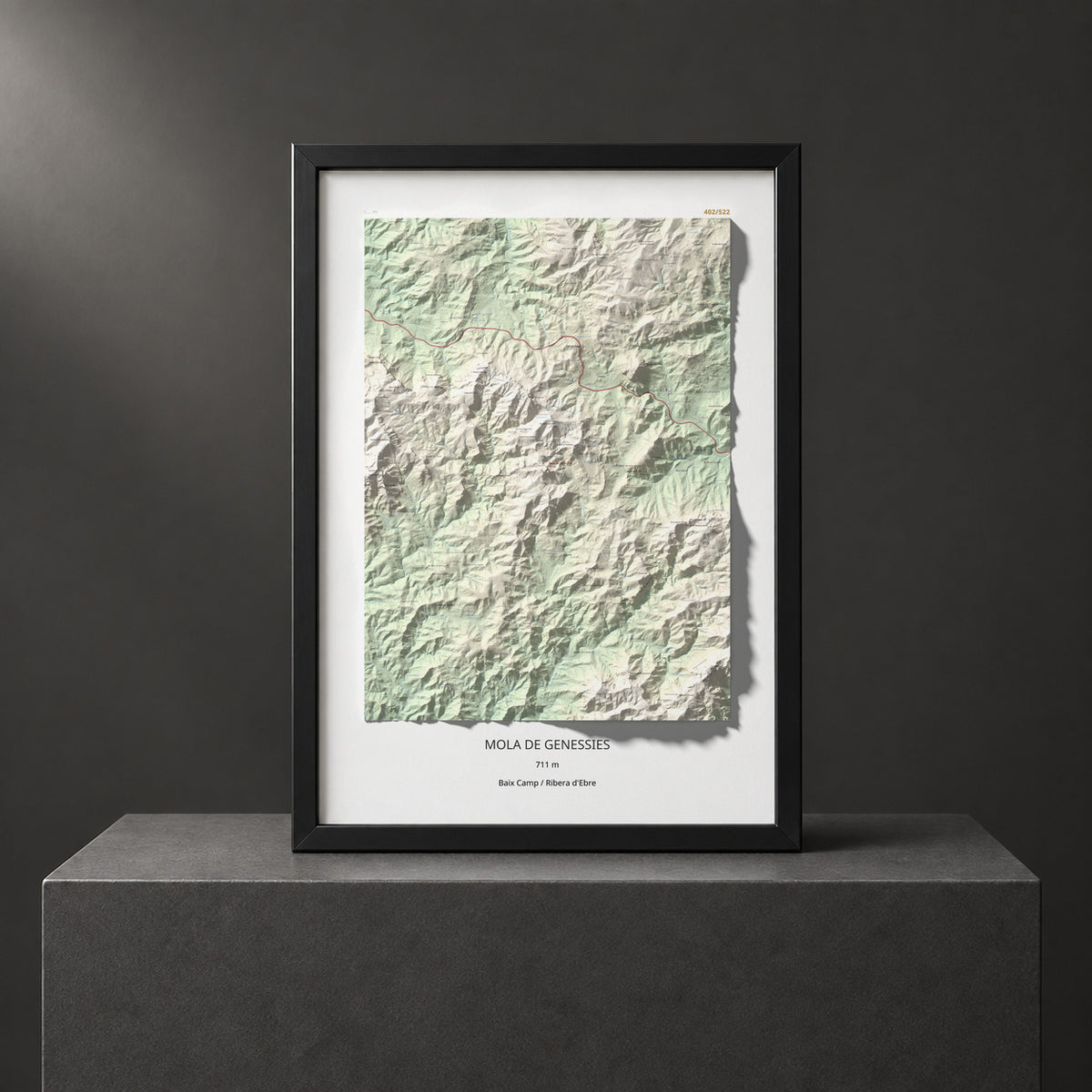 Mapa topogràfic del relleu: Mola de Genessies, 711 m. Presentació emmarcada. 70 × 100 cm.