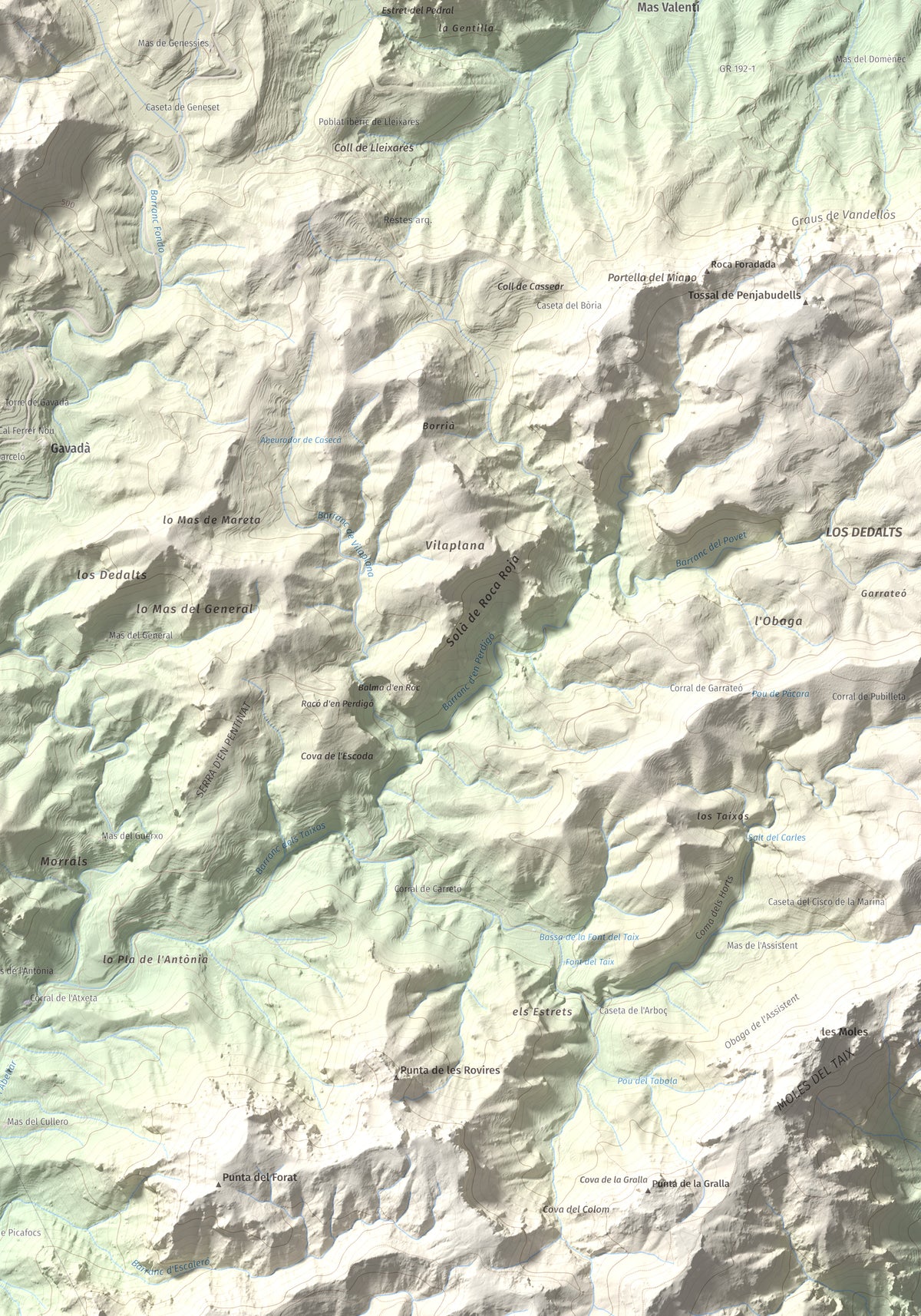 Mapa topogràfic del relleu: Mola de Genessies, 711 m. Detall de la zona inferior dreta. 70 × 100 cm.