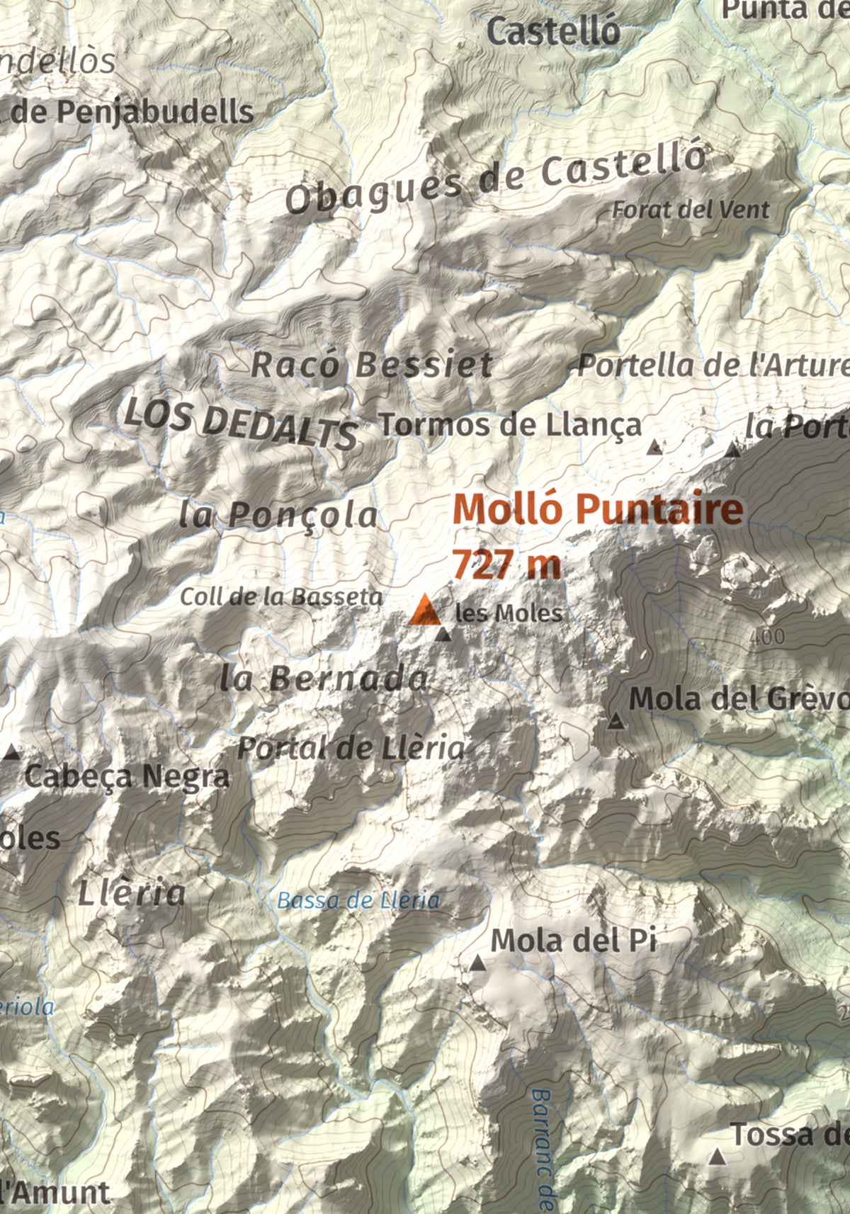 Mapa topogràfic del relleu: Molló Puntaire, 727 m. Detall de la zona central. 21 × 30 cm.