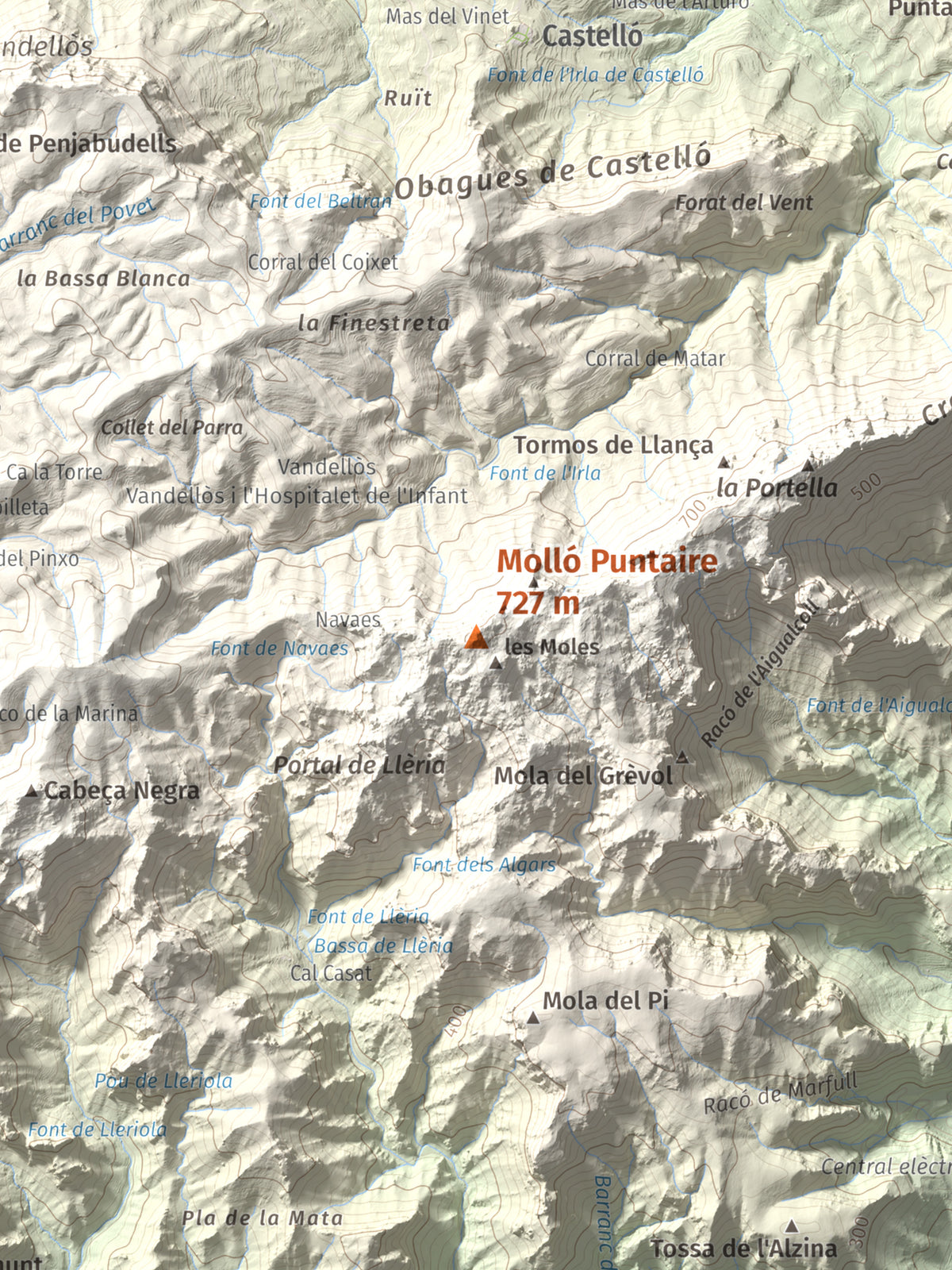 Mapa topogràfic del relleu: Molló Puntaire, 727 m. Detall de la zona central. 30 × 40 cm.