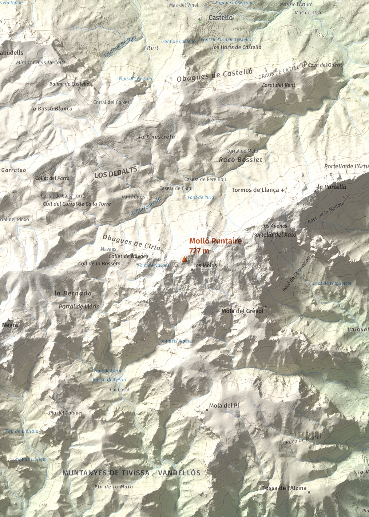 Mapa topogràfic del relleu: Molló Puntaire, 727 m. Detall de la zona central. 50 × 70 cm.
