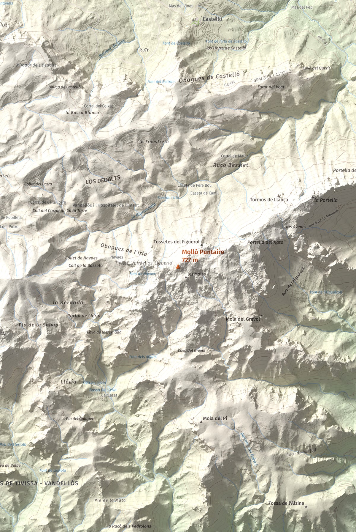 Mapa topogràfic del relleu: Molló Puntaire, 727 m. Detall de la zona central. 61 × 91 cm.