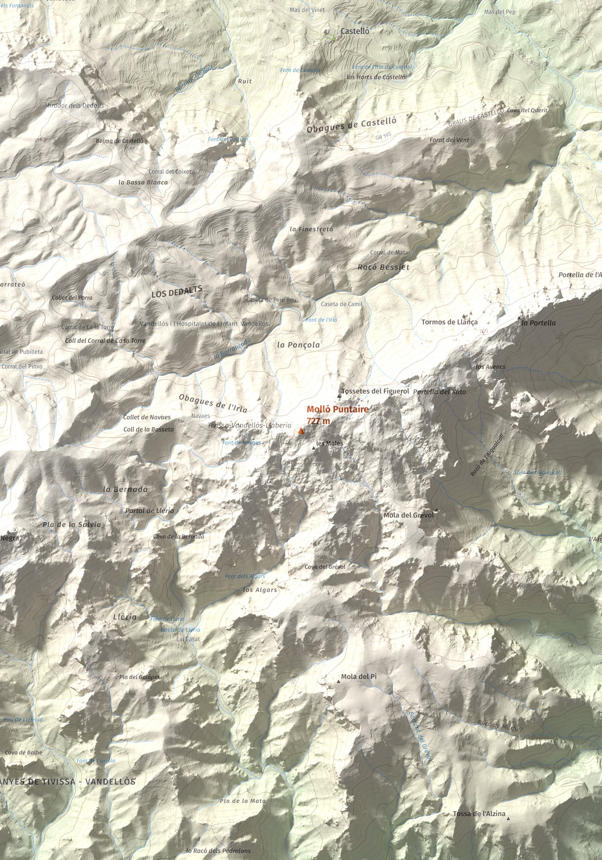 Mapa topogràfic del relleu: Molló Puntaire, 727 m. Detall de la zona central. 70 × 100 cm.
