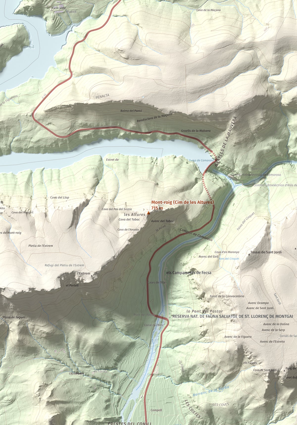 Mapa de relieve de Mont-roig (Cim de les Altures), 715 m, Noguera, lámina 100 Cims de Trobart. Detalle de la zona central. 70 × 100 cm.
