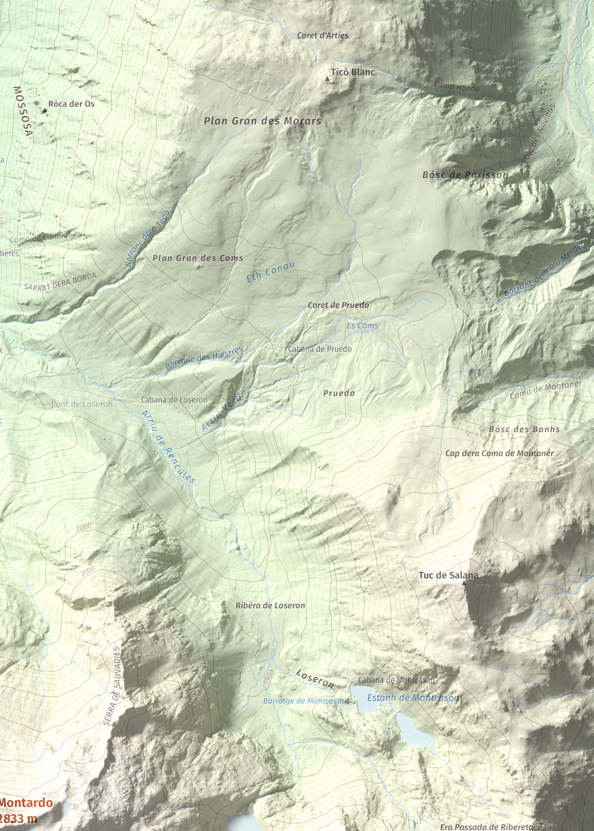 Mapa de relieve de Montardo, 2833 m, Val d'Aran, lámina 100 Cims de Trobart. Detalle de la zona superior derecha. 50 × 70 cm.