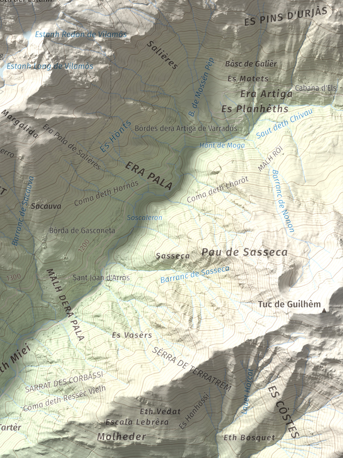 Mapa de relieve de Montlude, 2518 m, Val d'Aran, lámina 100 Cims de Trobart. Detalle de la zona inferior derecha. 30 × 40 cm.